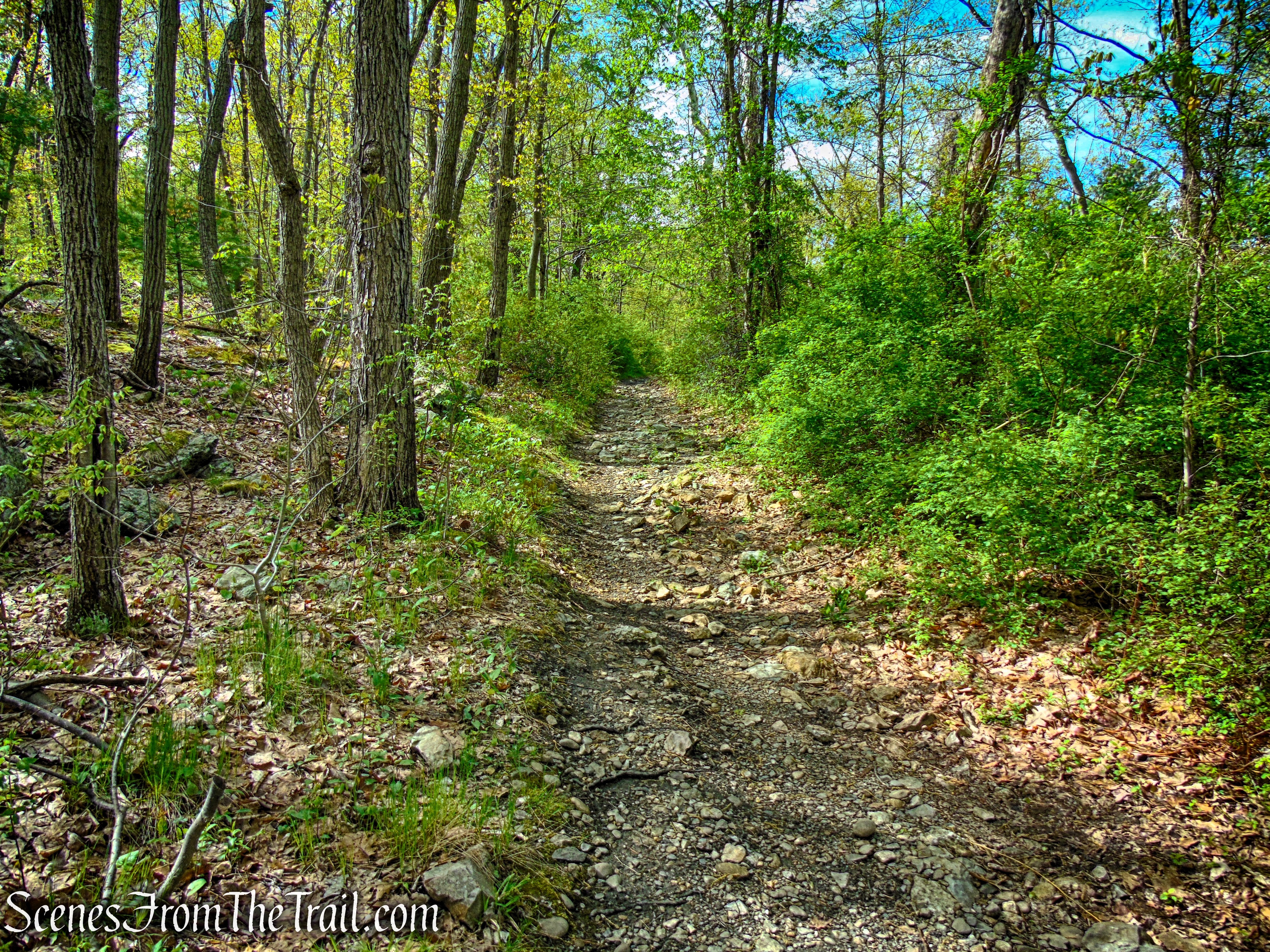Glenclyffe Loop Trail