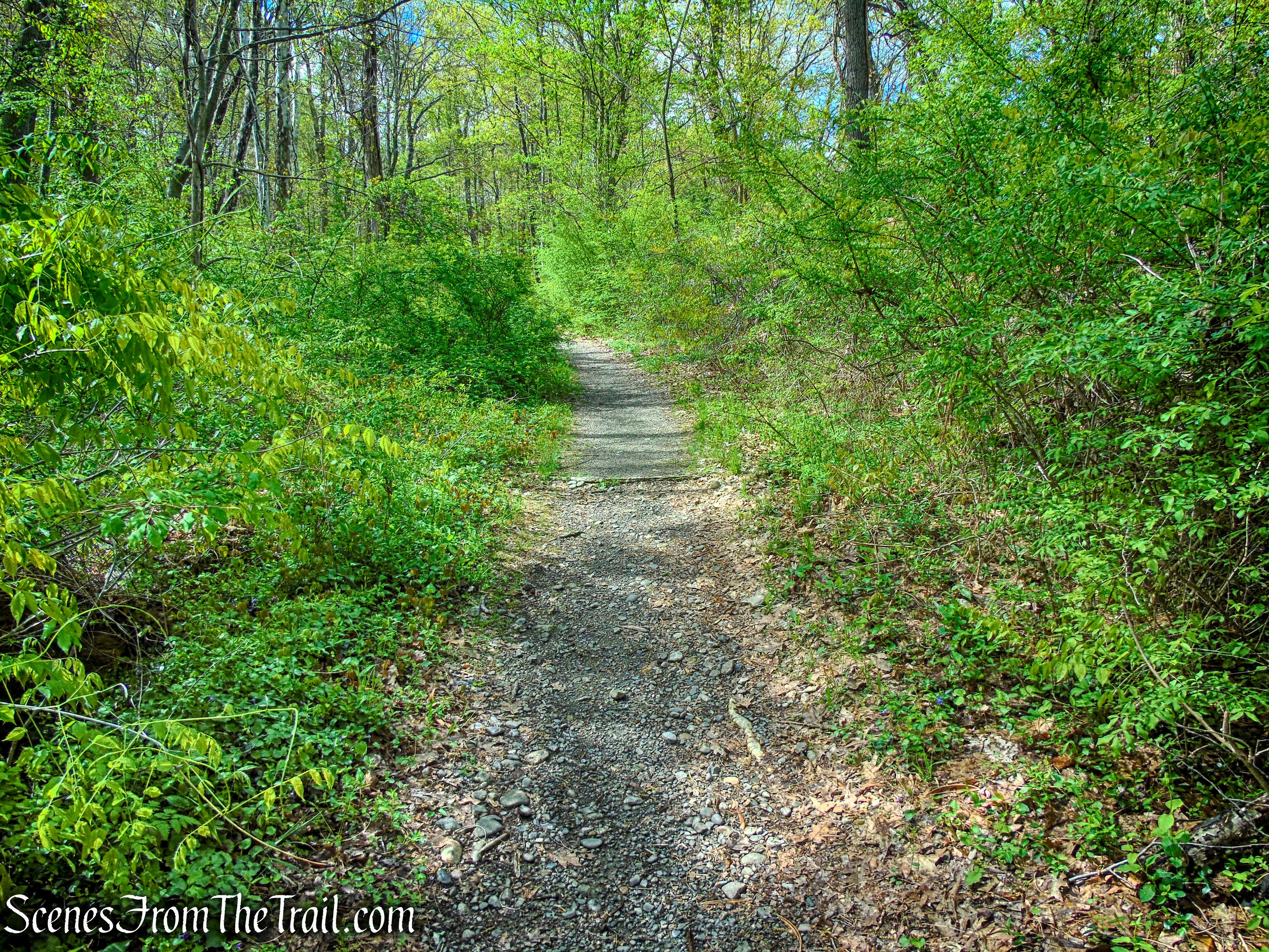 Glenclyffe Loop Trail