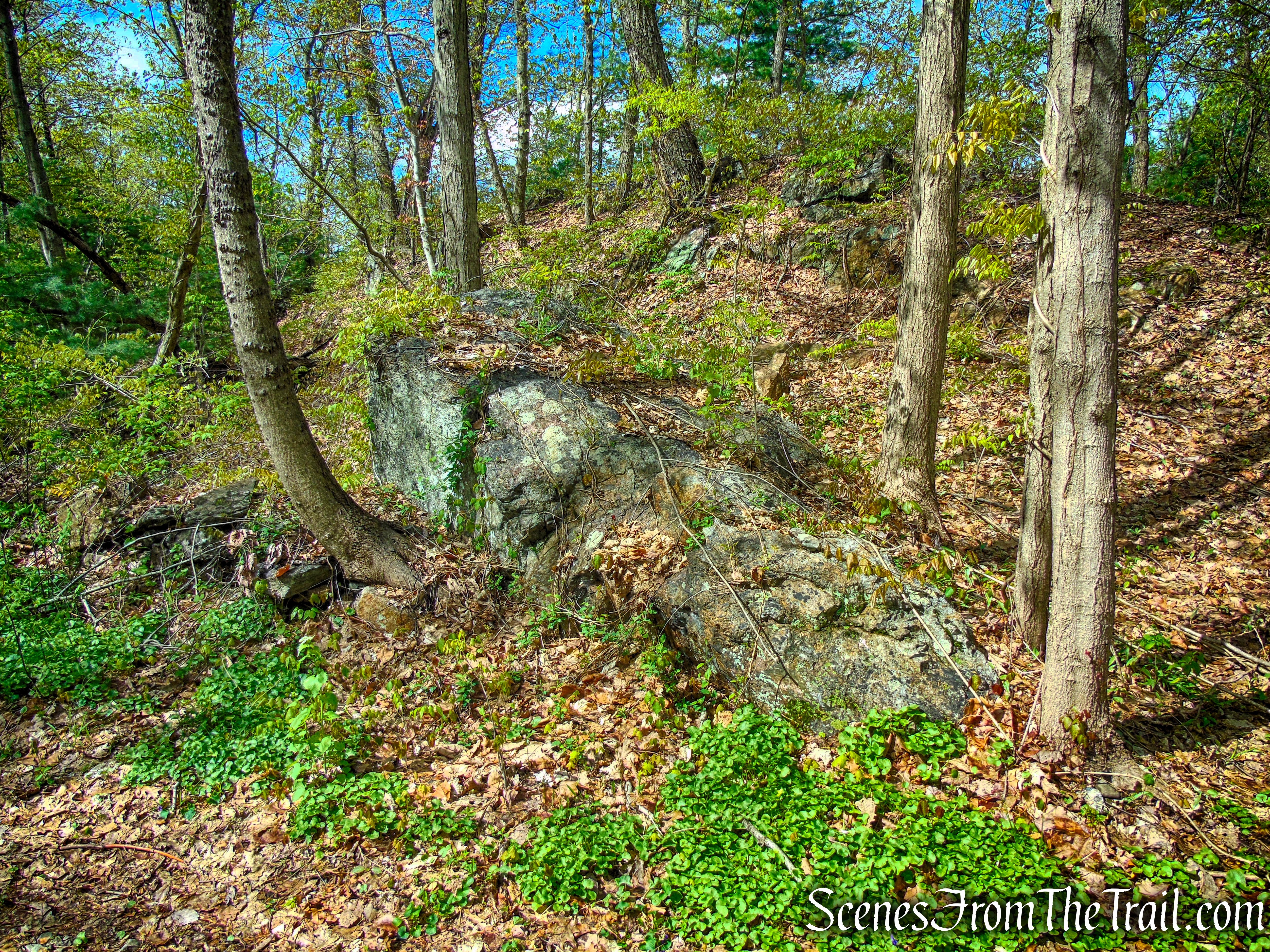 Glenclyffe Loop Trail
