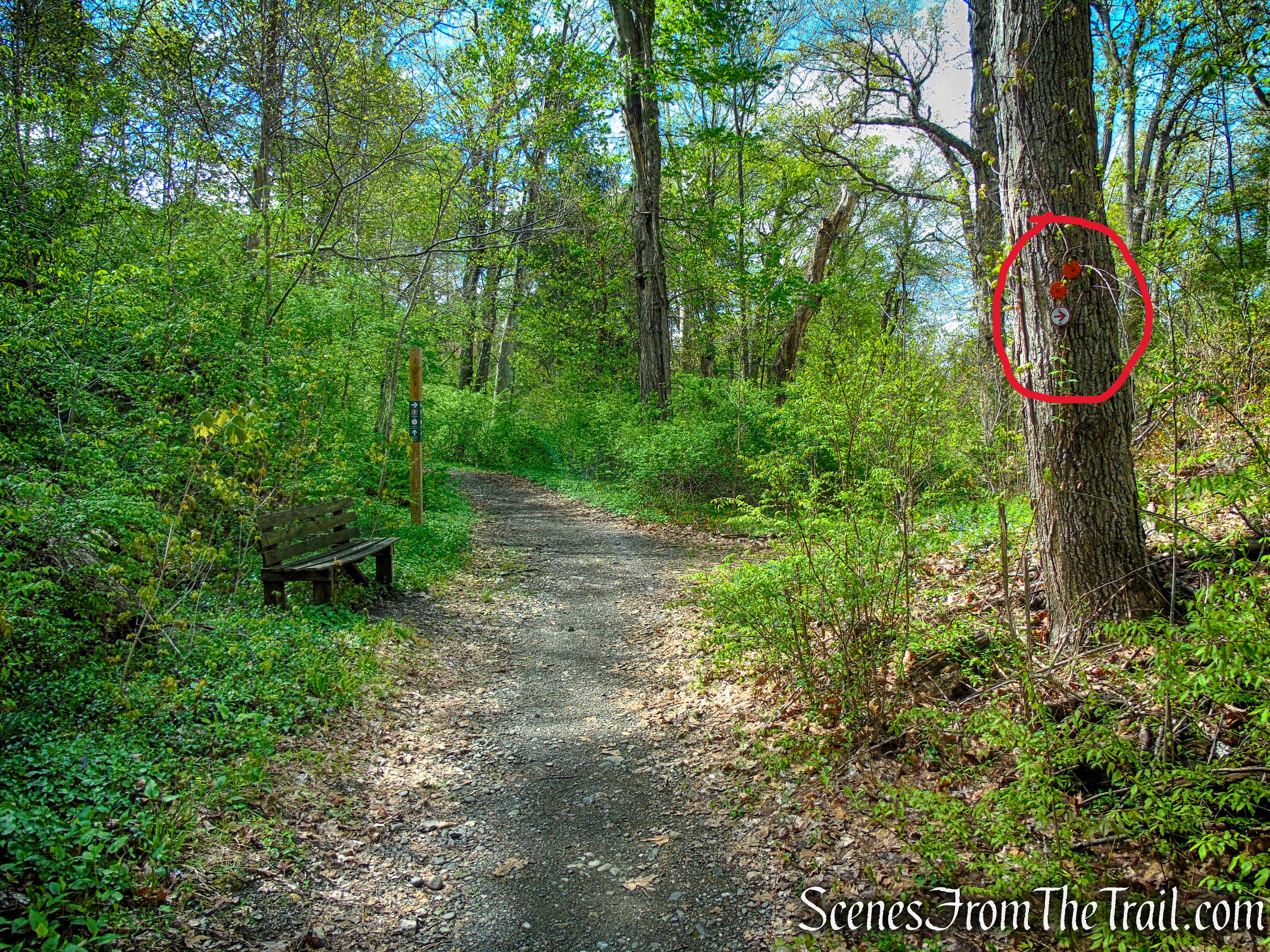 Glenclyffe Loop Trail