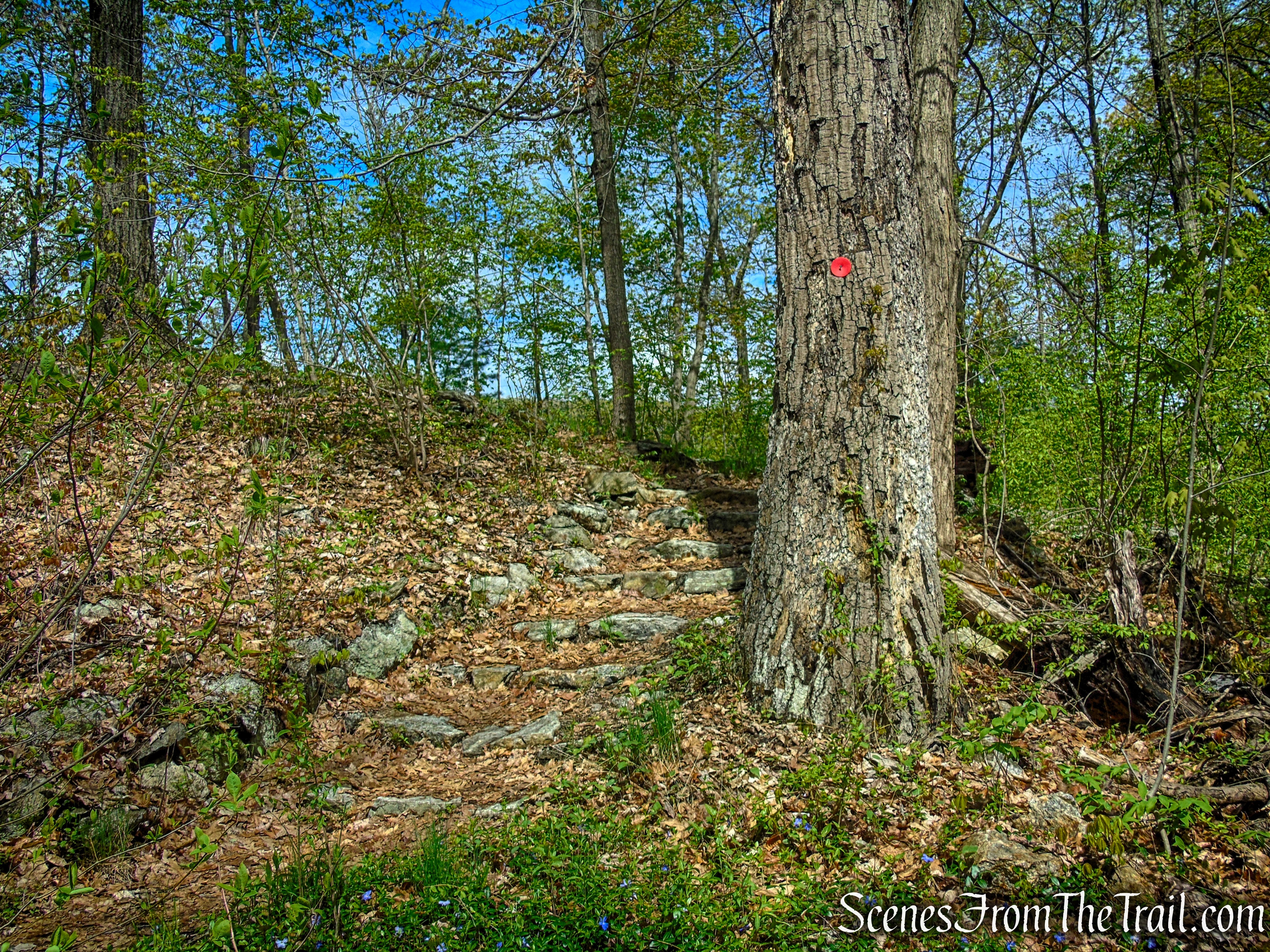 Glenclyffe Loop Trail