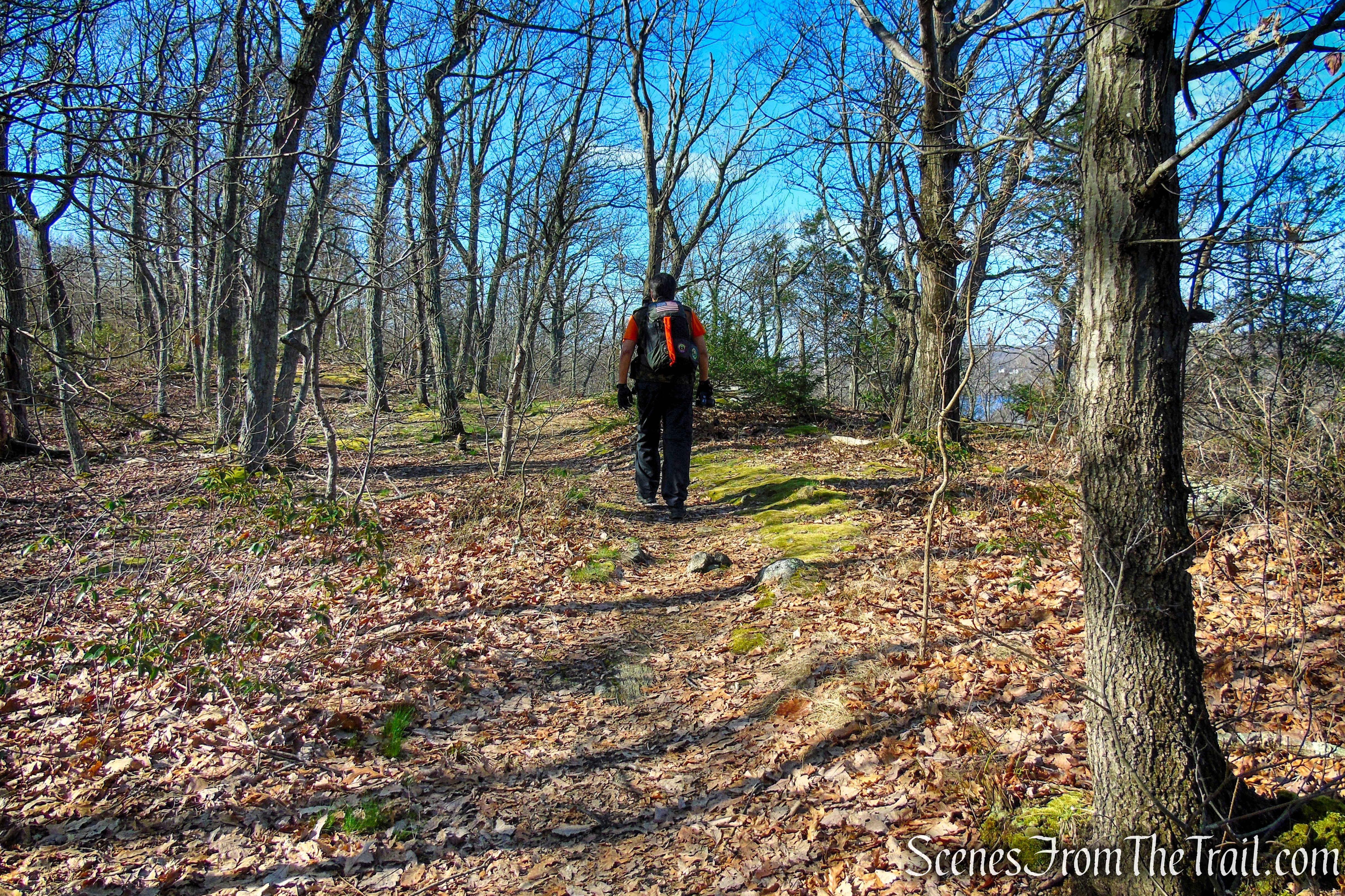 Housatonic Overlook and Tucker’s Ridge