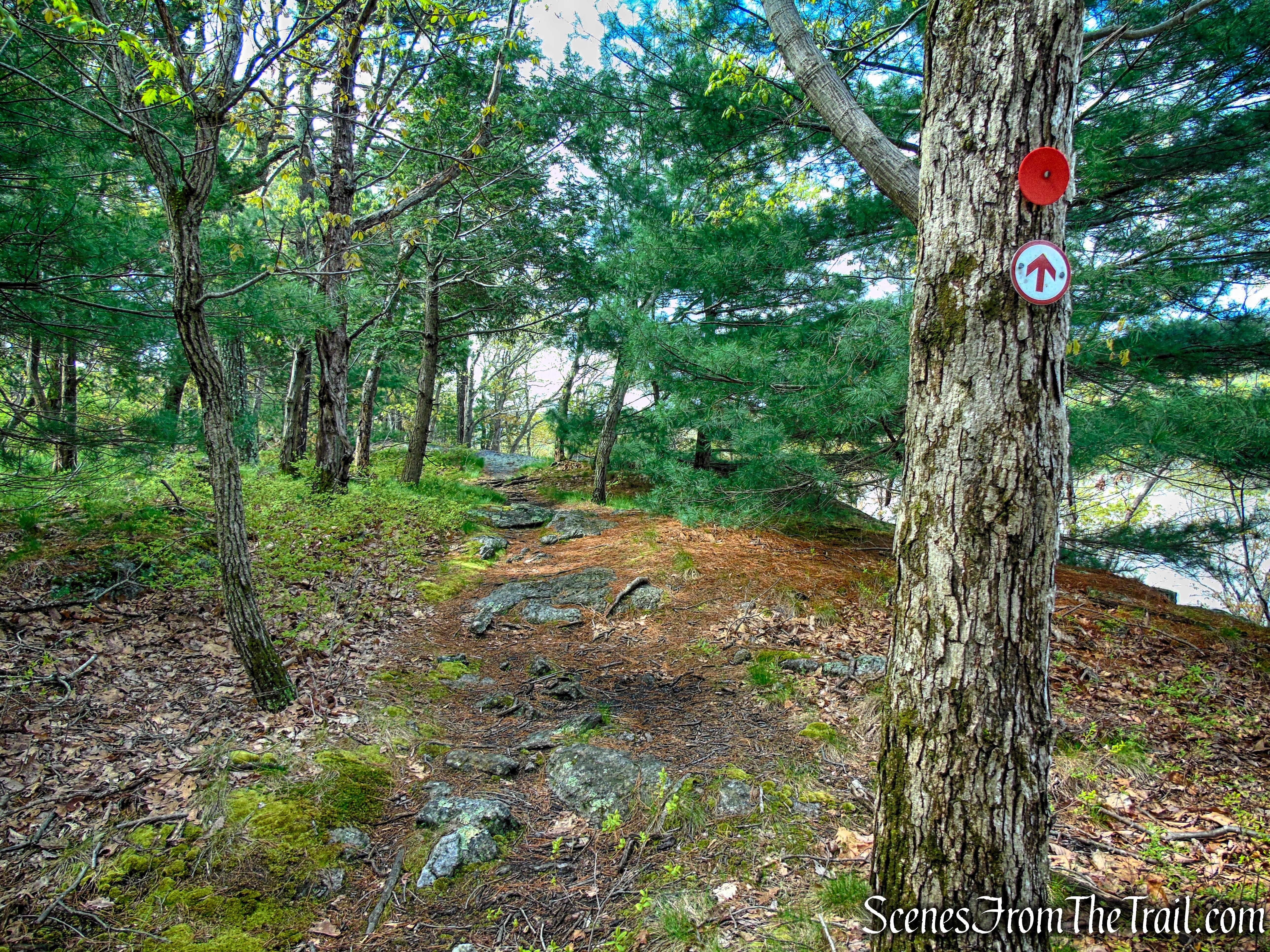 Glenclyffe Loop Trail