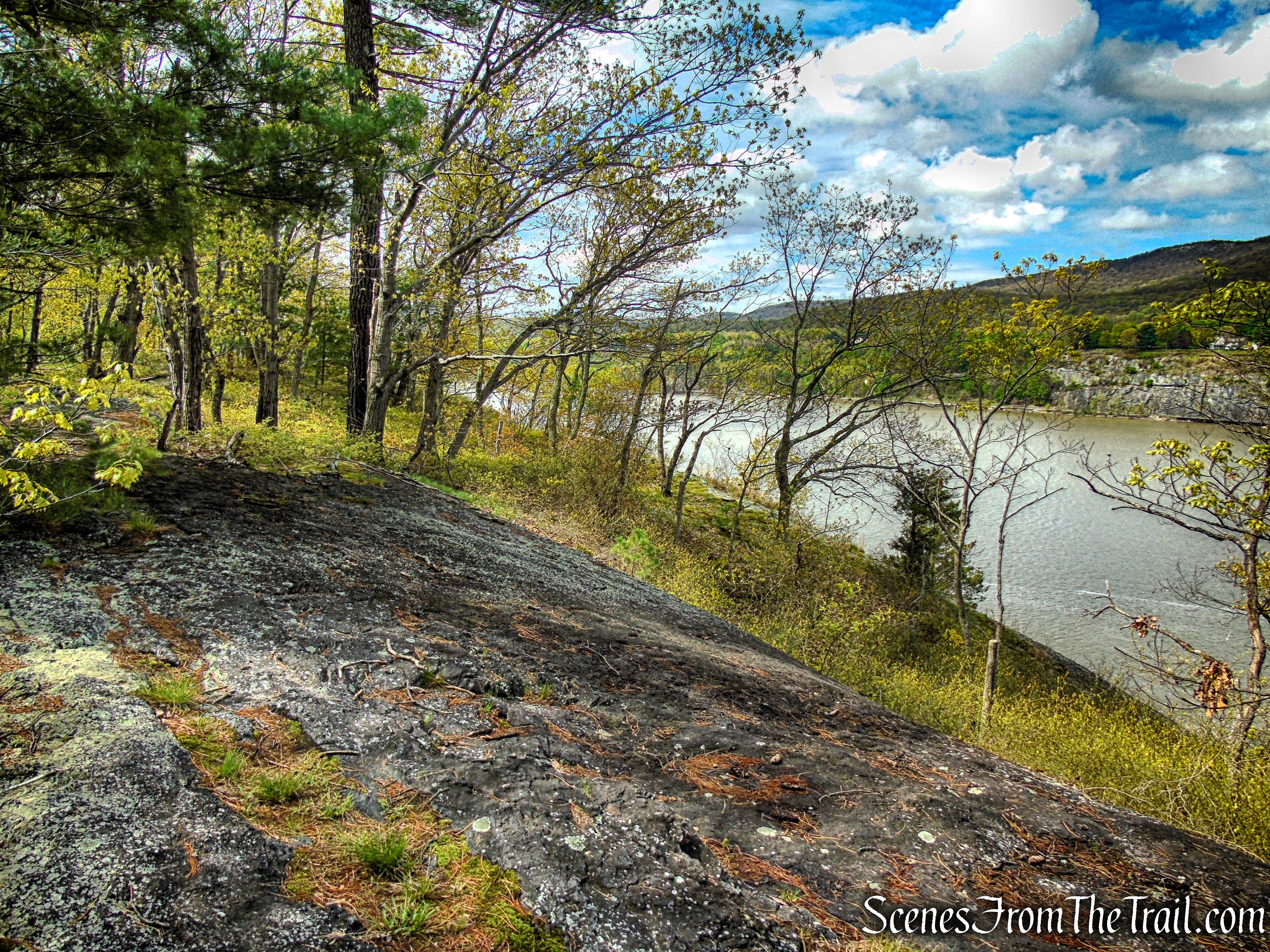Glenclyffe Loop Trail