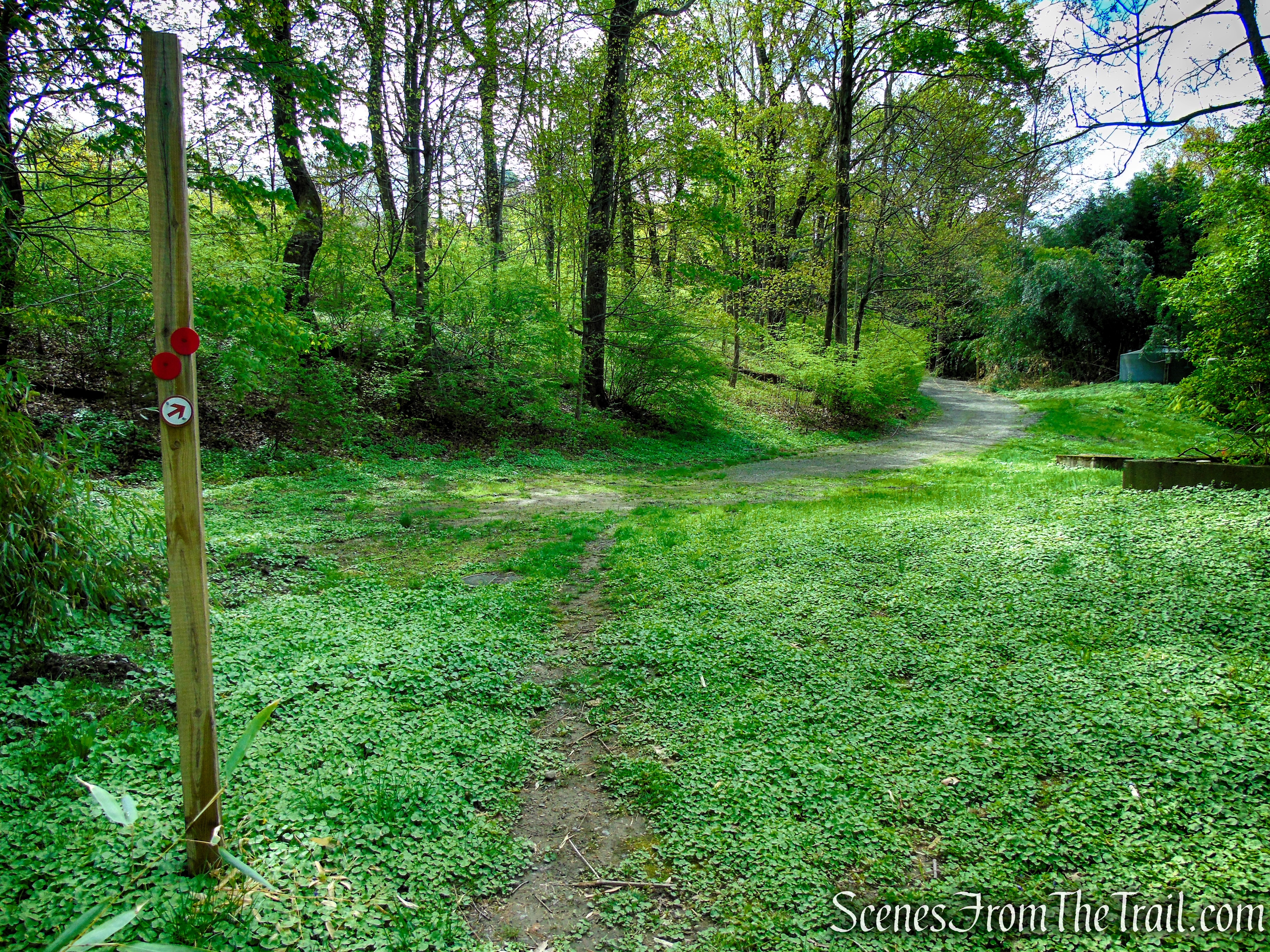 Glenclyffe Loop Trail