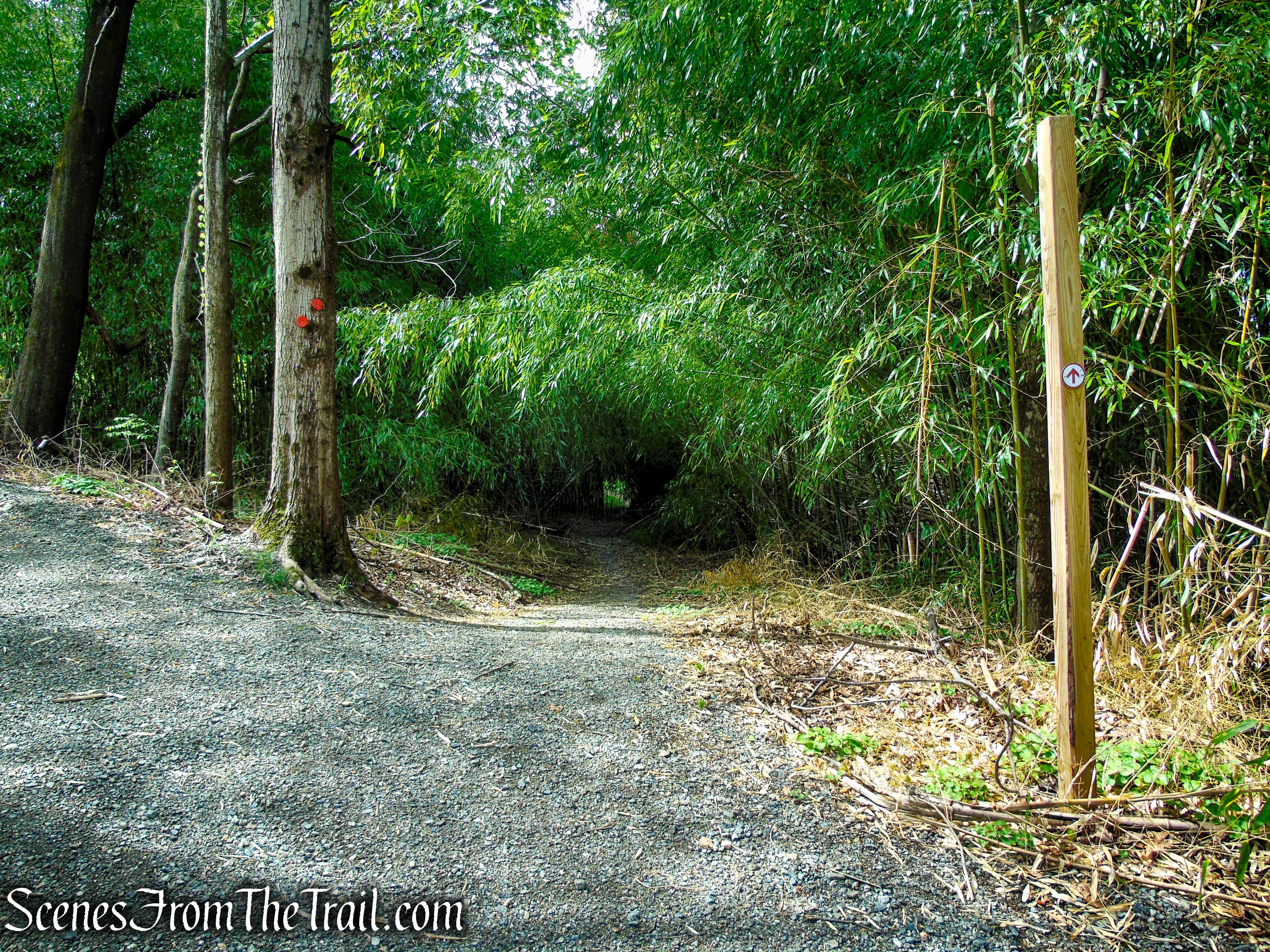 Glenclyffe Loop Trail