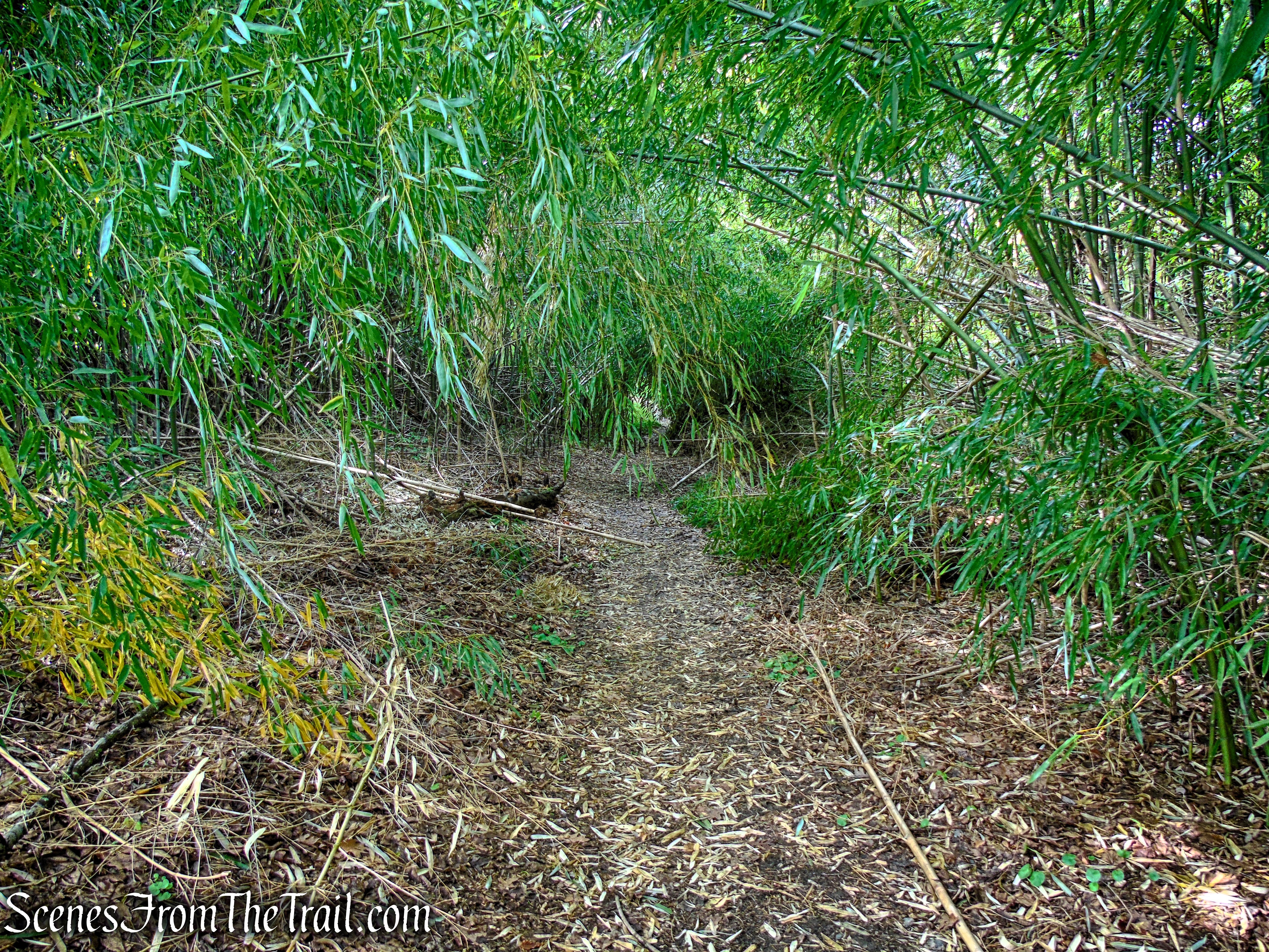 Glenclyffe Loop Trail
