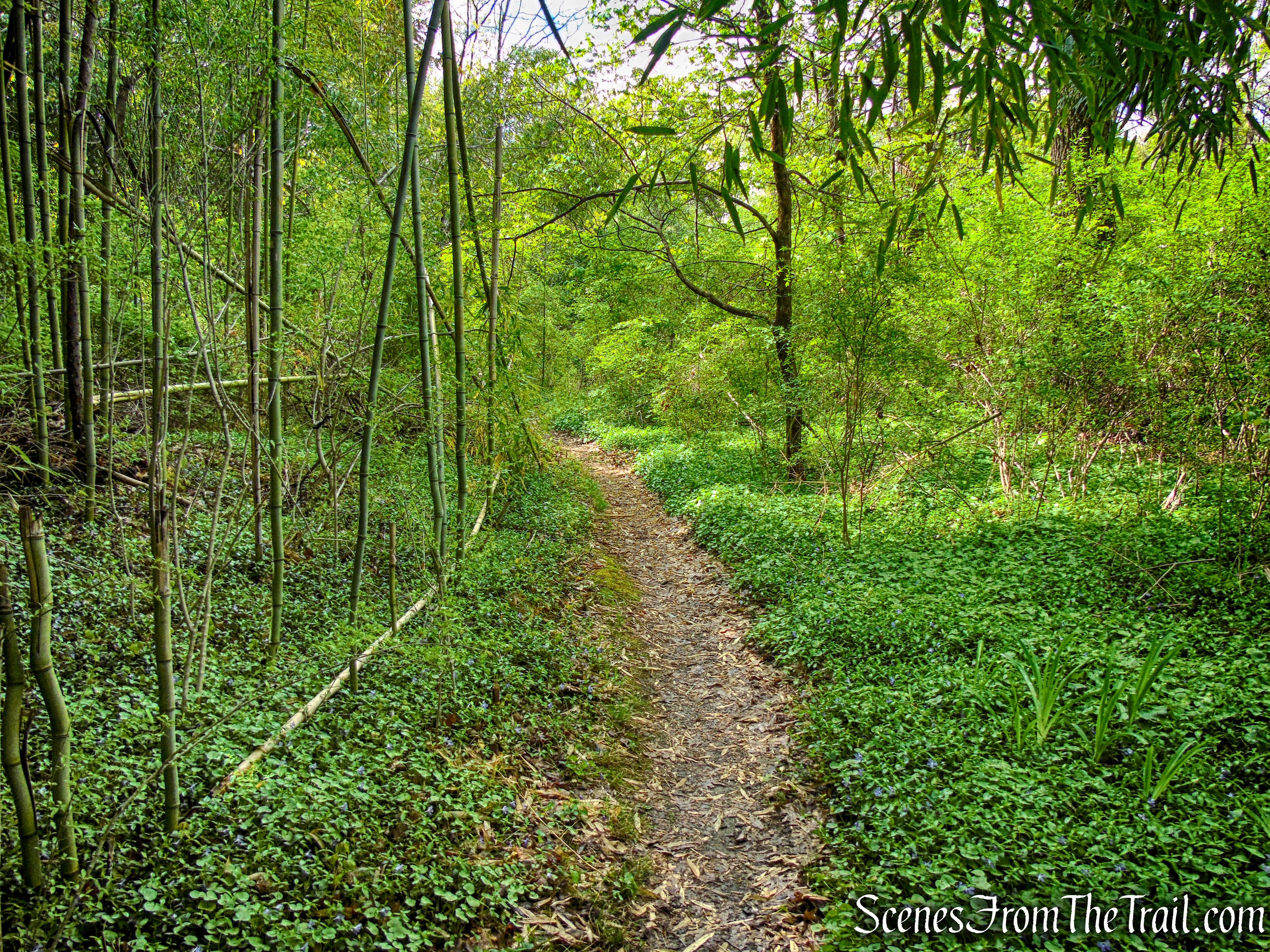 Glenclyffe Loop Trail