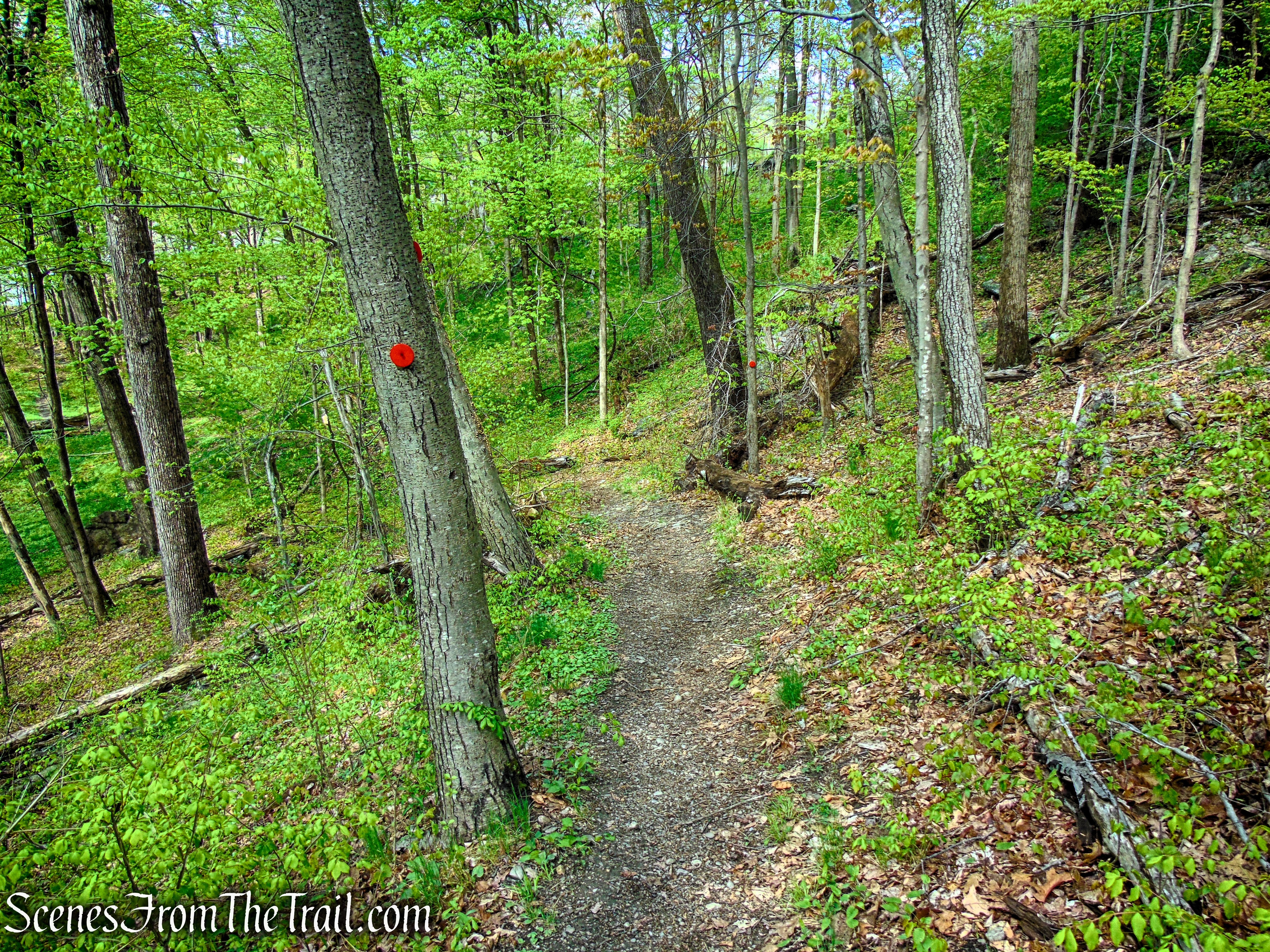Glenclyffe Loop Trail