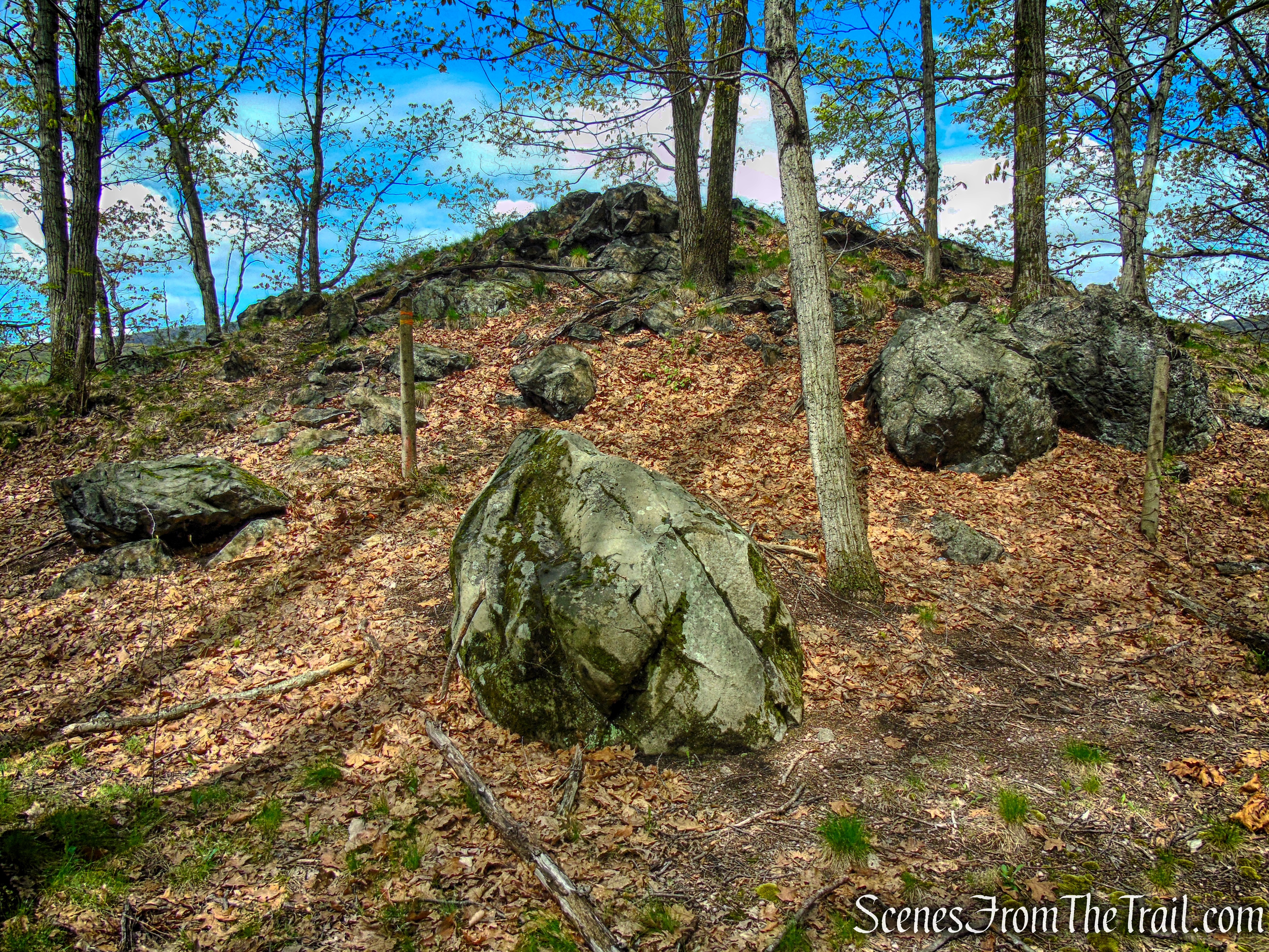Glenclyffe Loop Trail