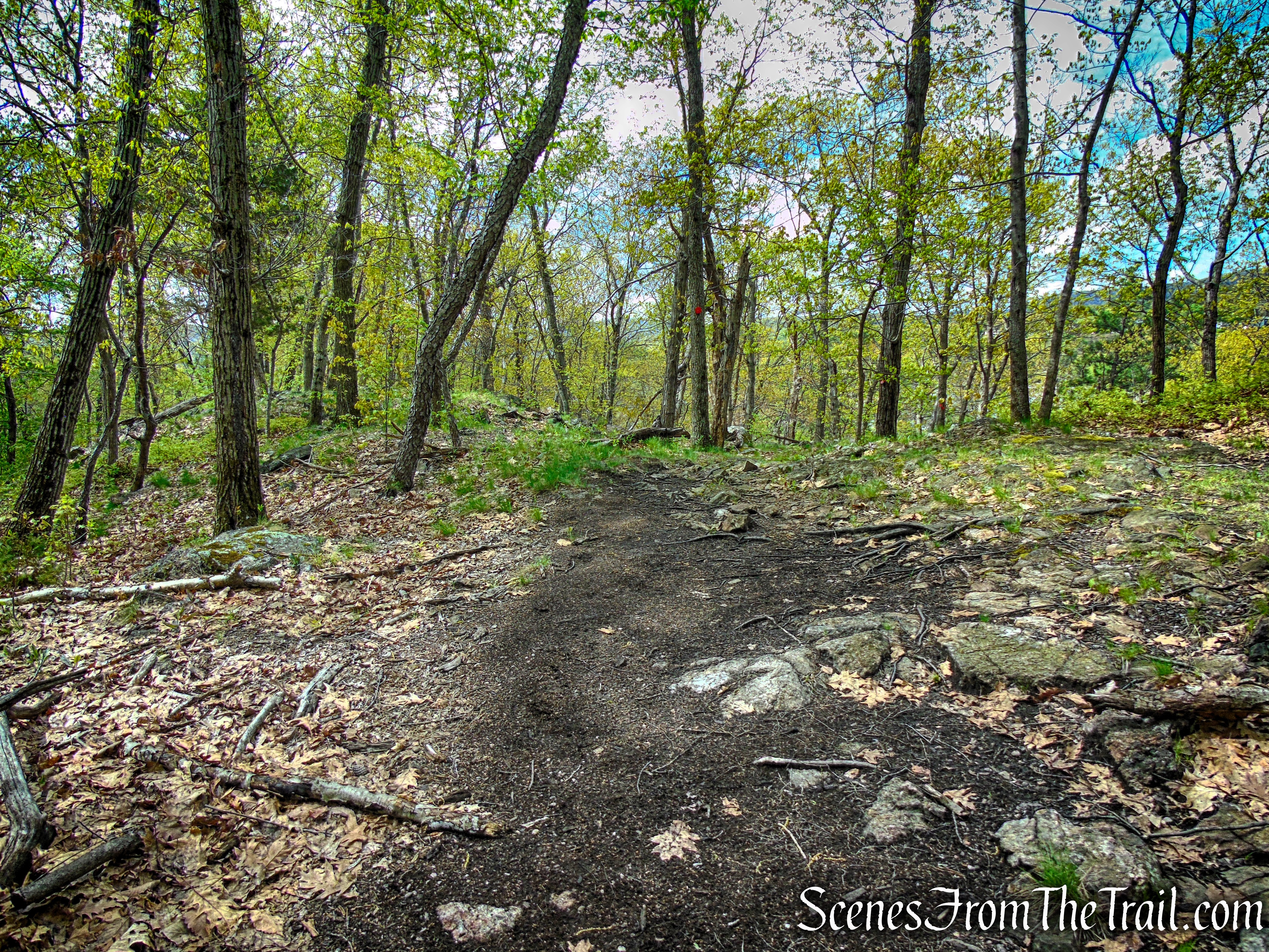 Glenclyffe Loop Trail