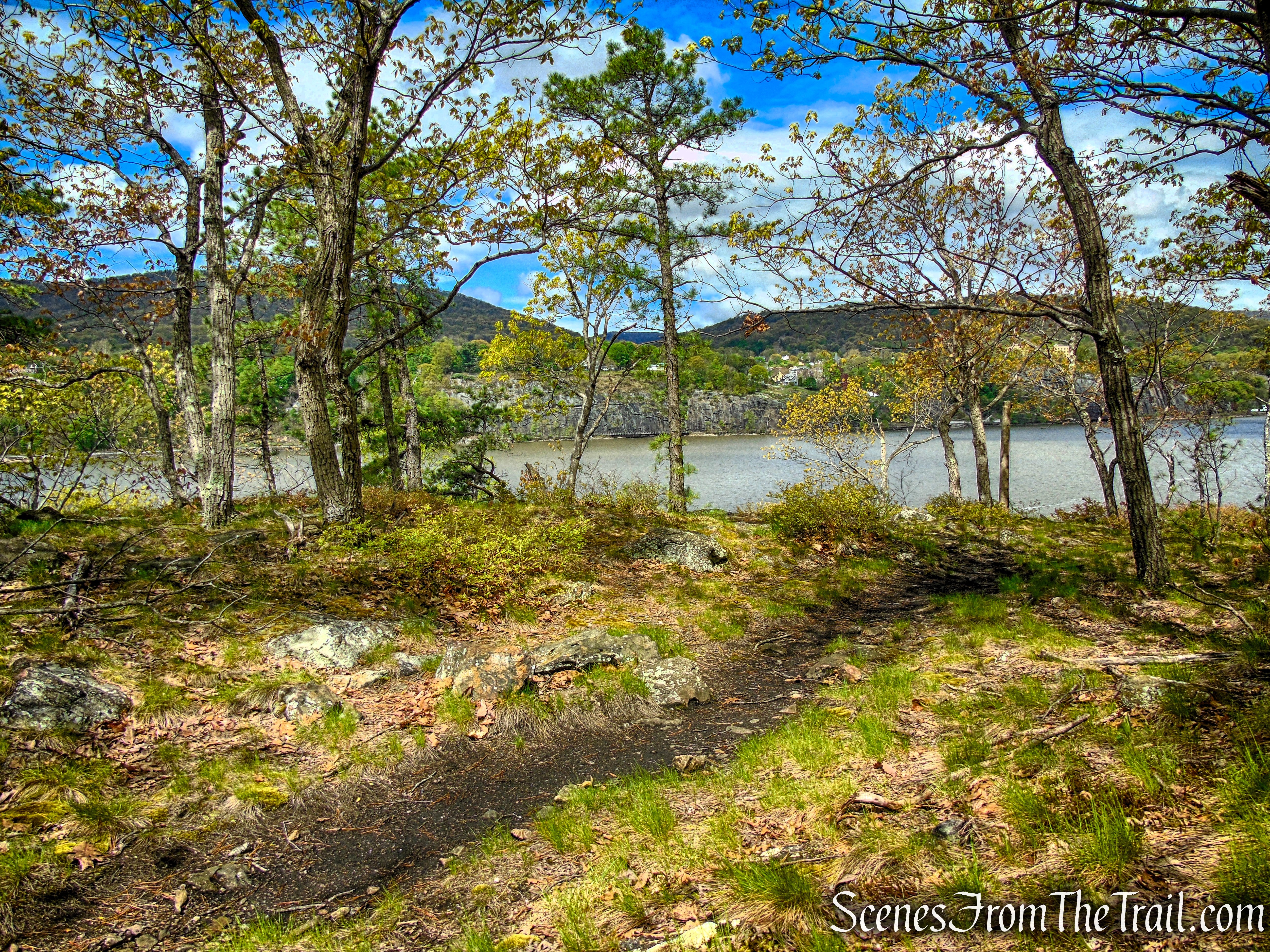 Glenclyffe Loop Trail