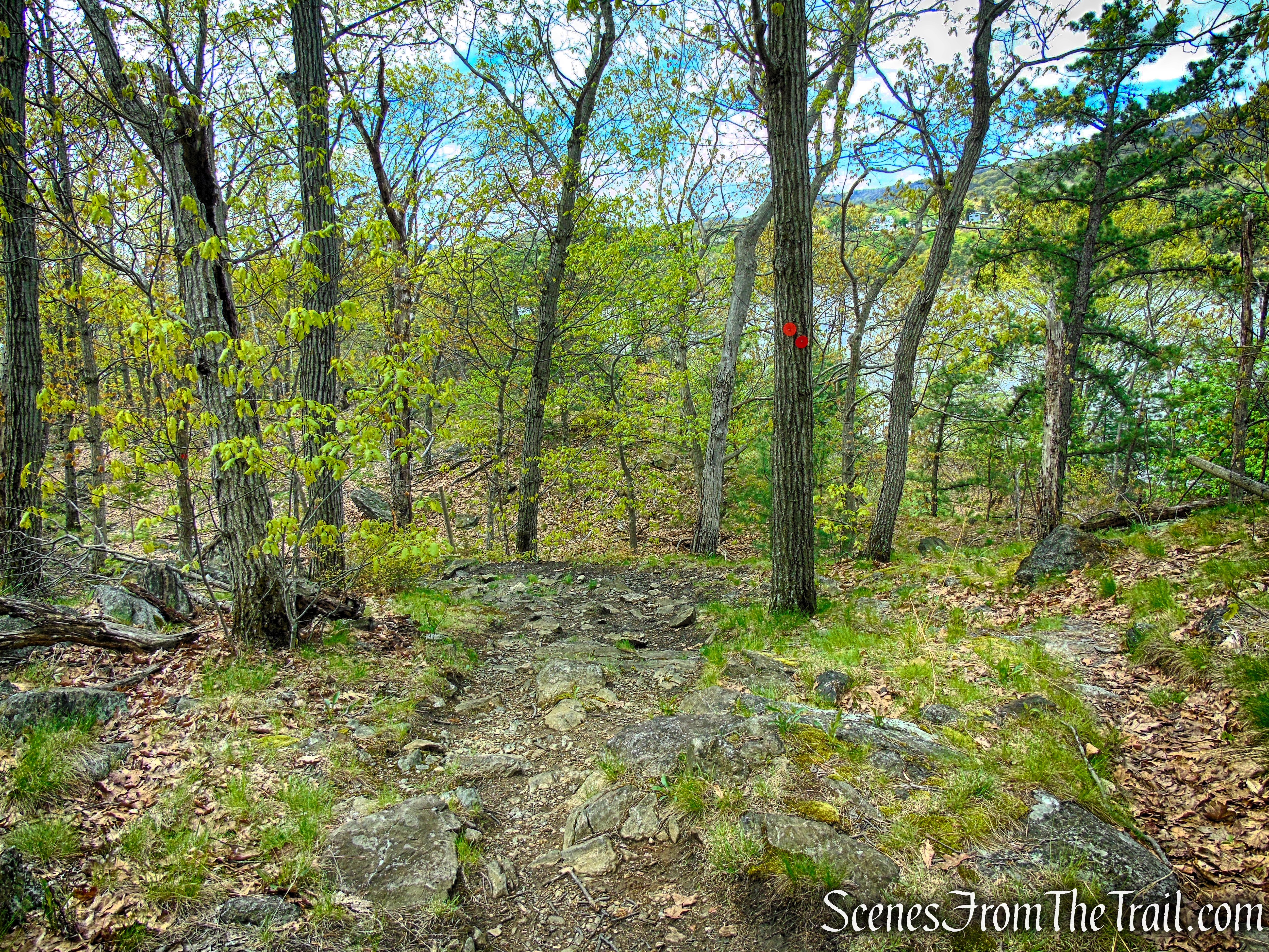 Glenclyffe Loop Trail