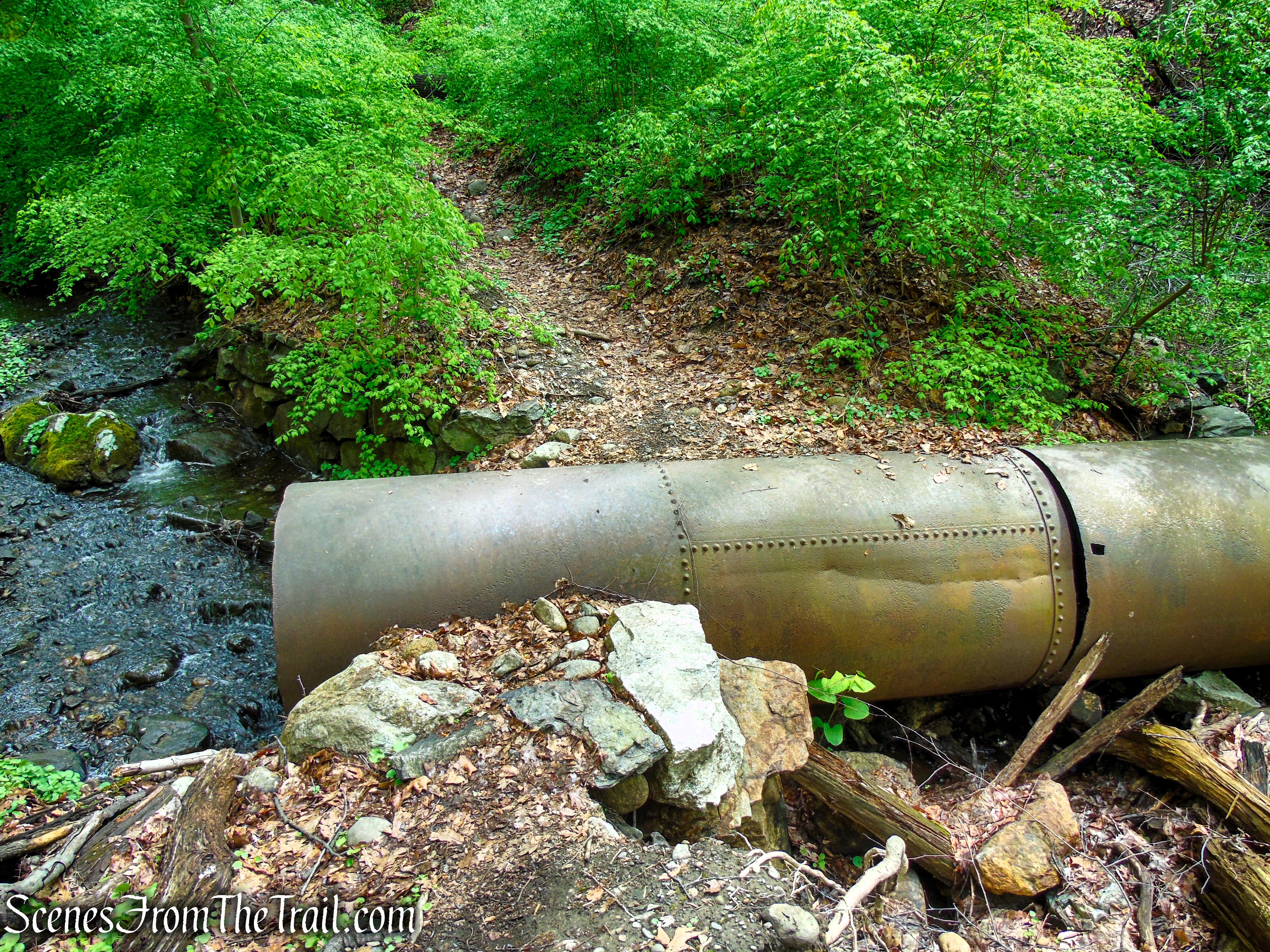 Glenclyffe Loop Trail