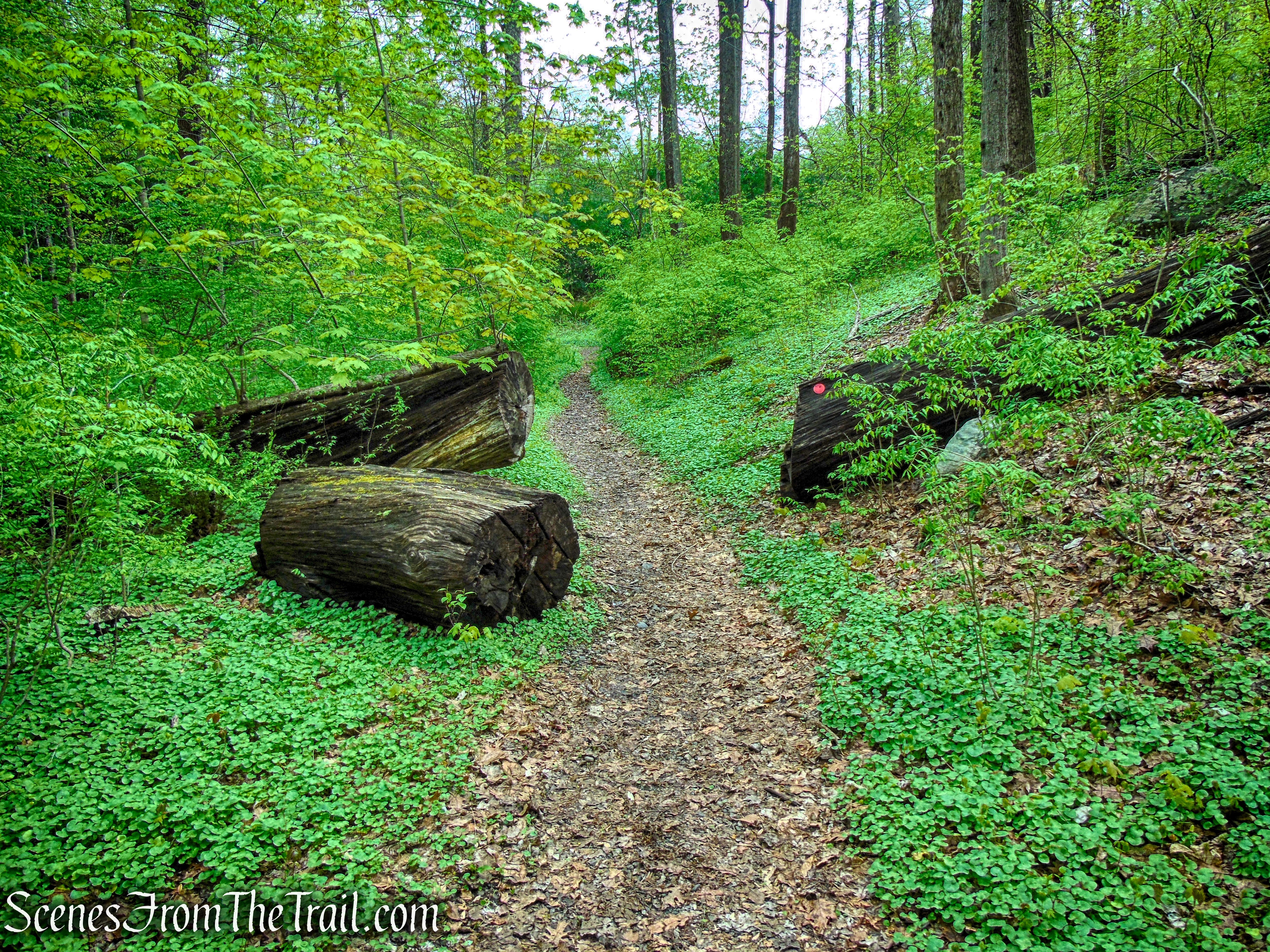 Glenclyffe Loop Trail