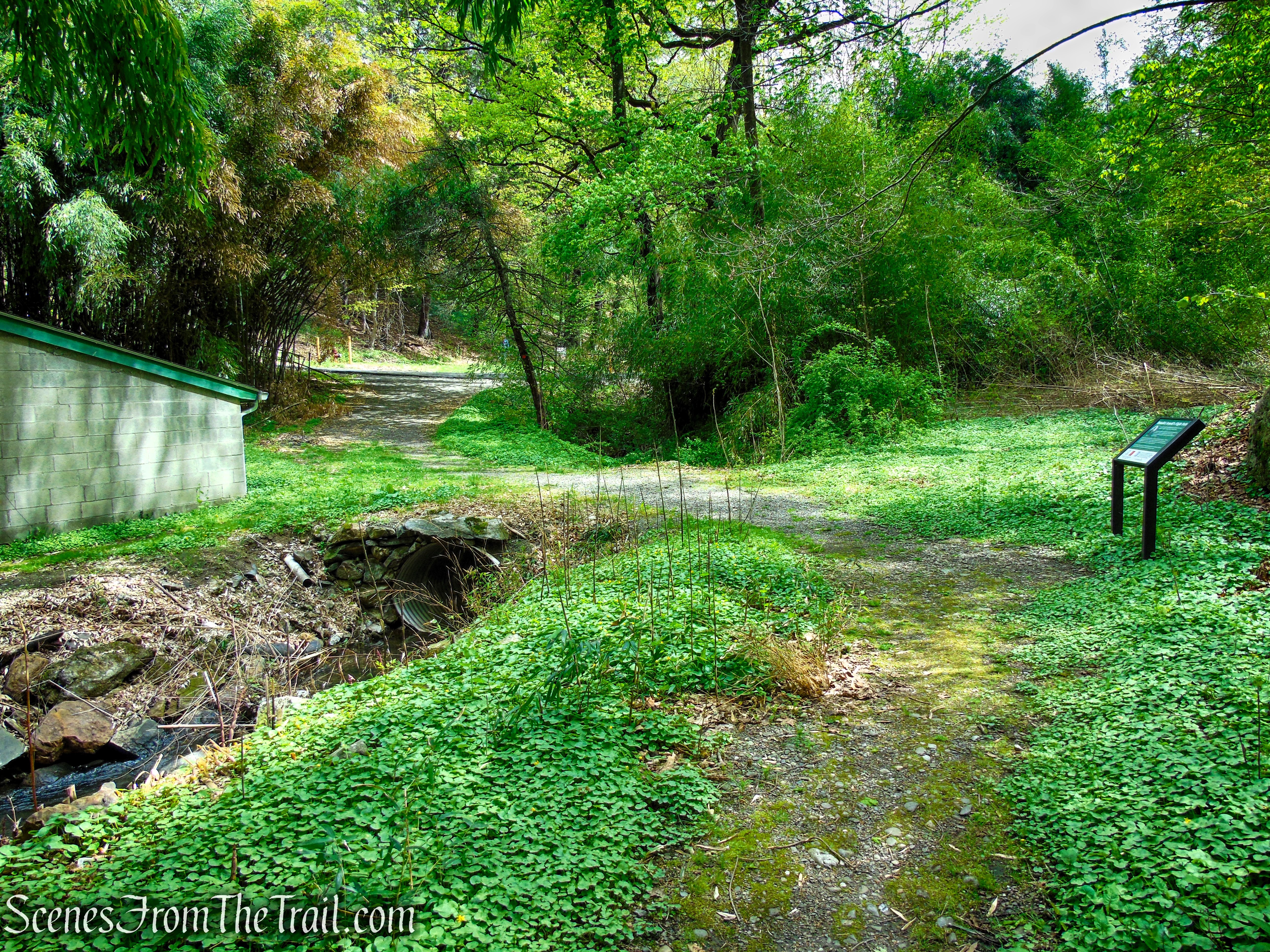 Glenclyffe Loop Trail