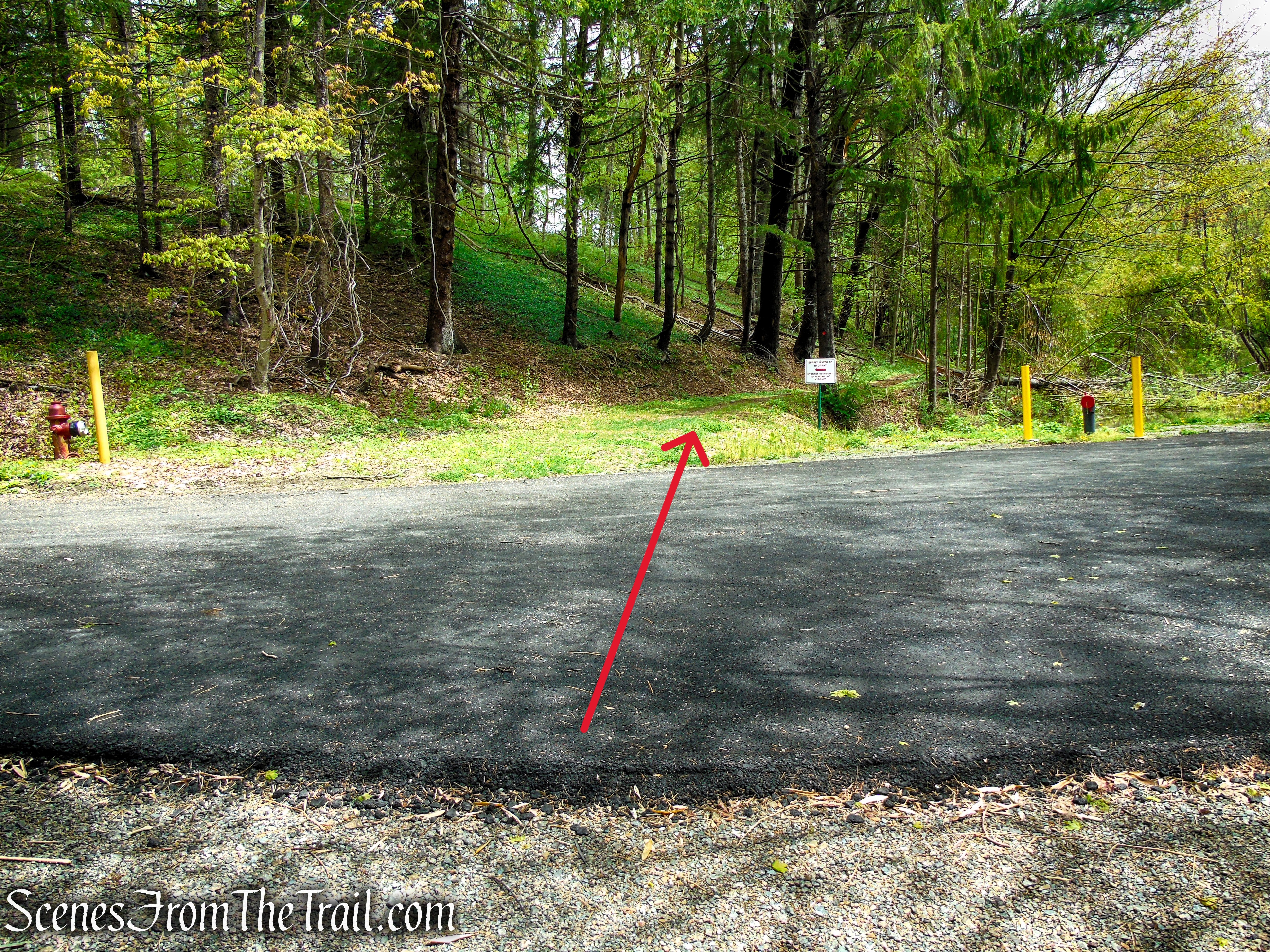 Glenclyffe Loop Trail