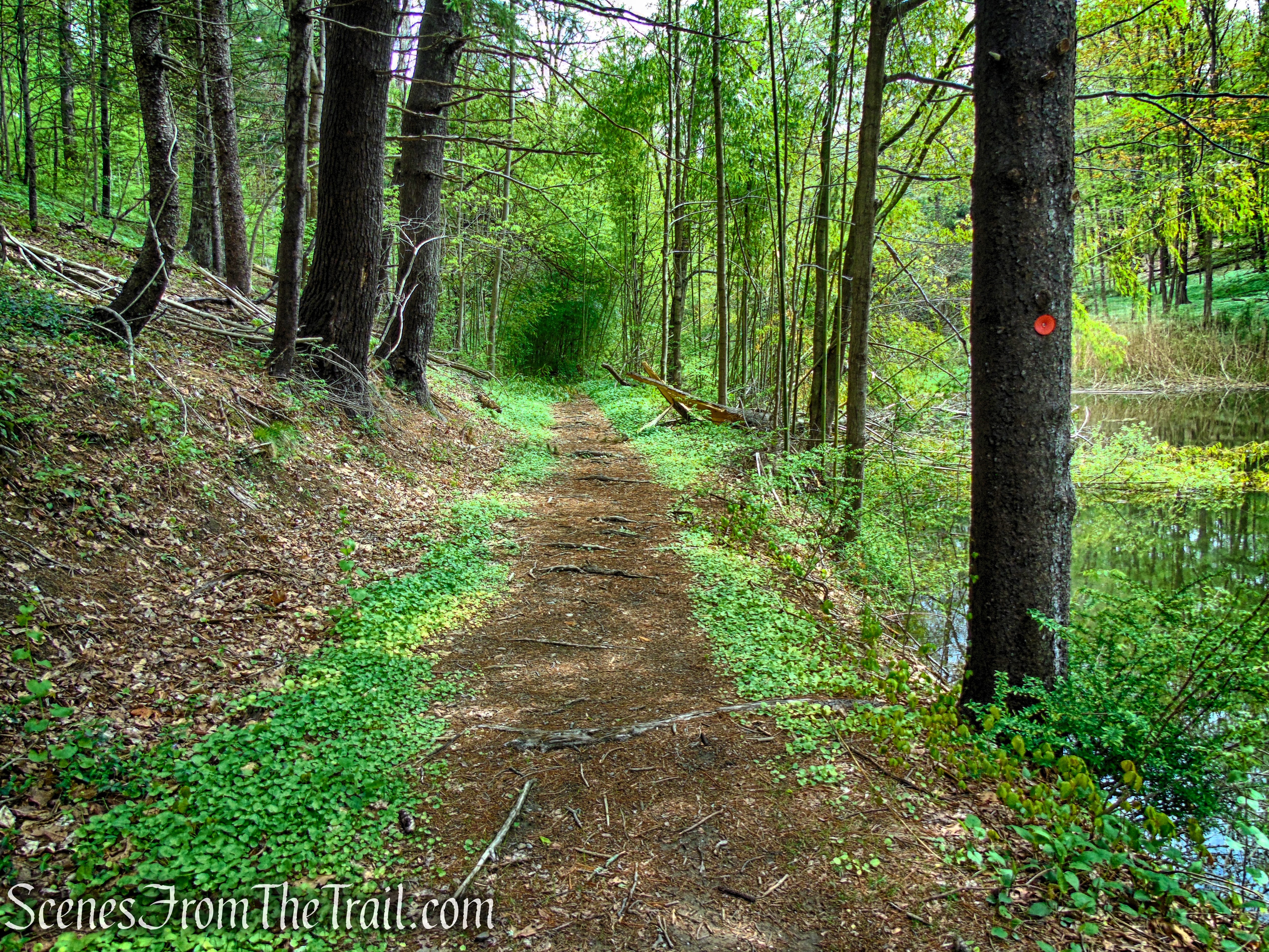 Glenclyffe Loop Trail