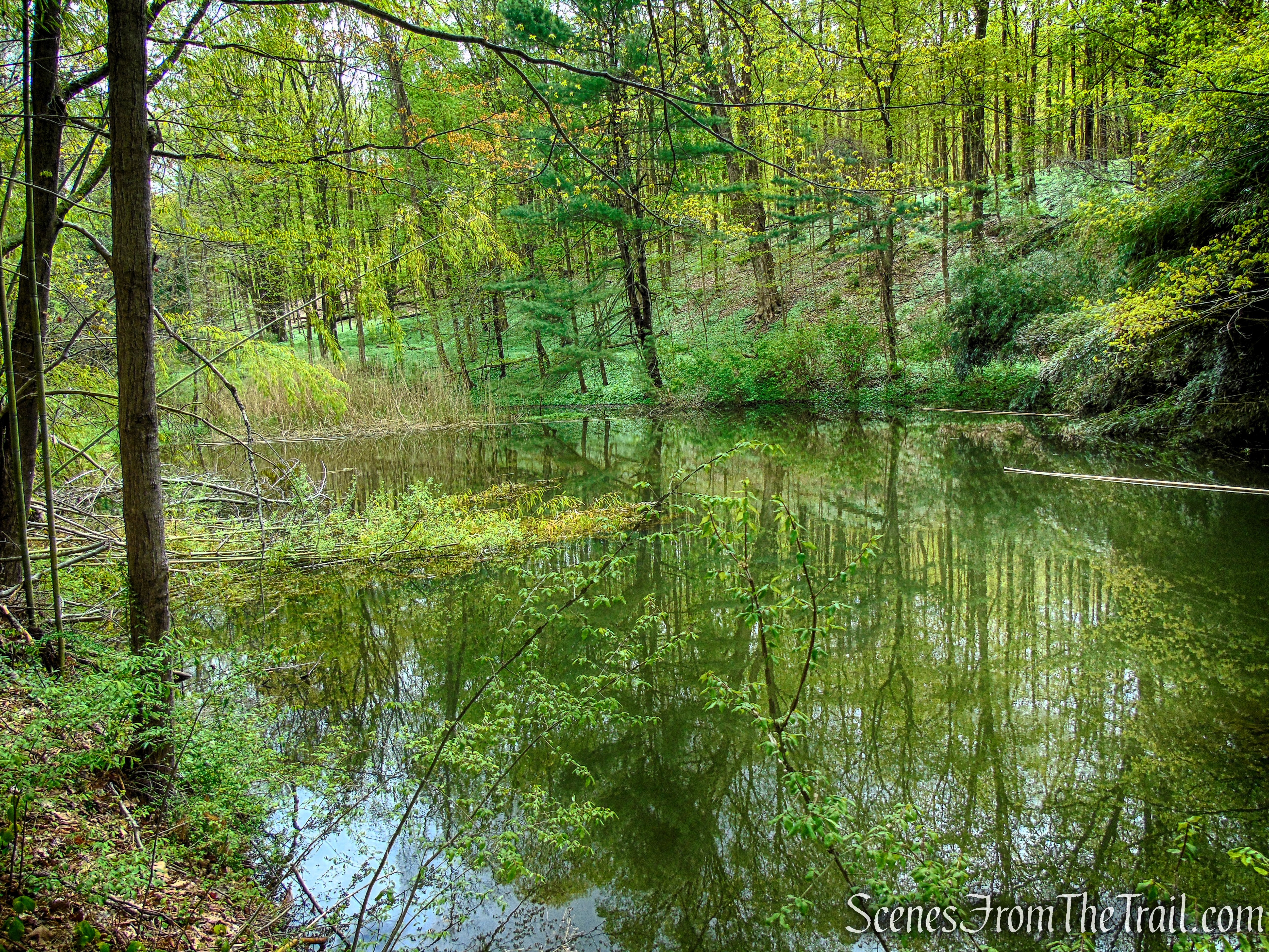 Glenclyffe Loop Trail