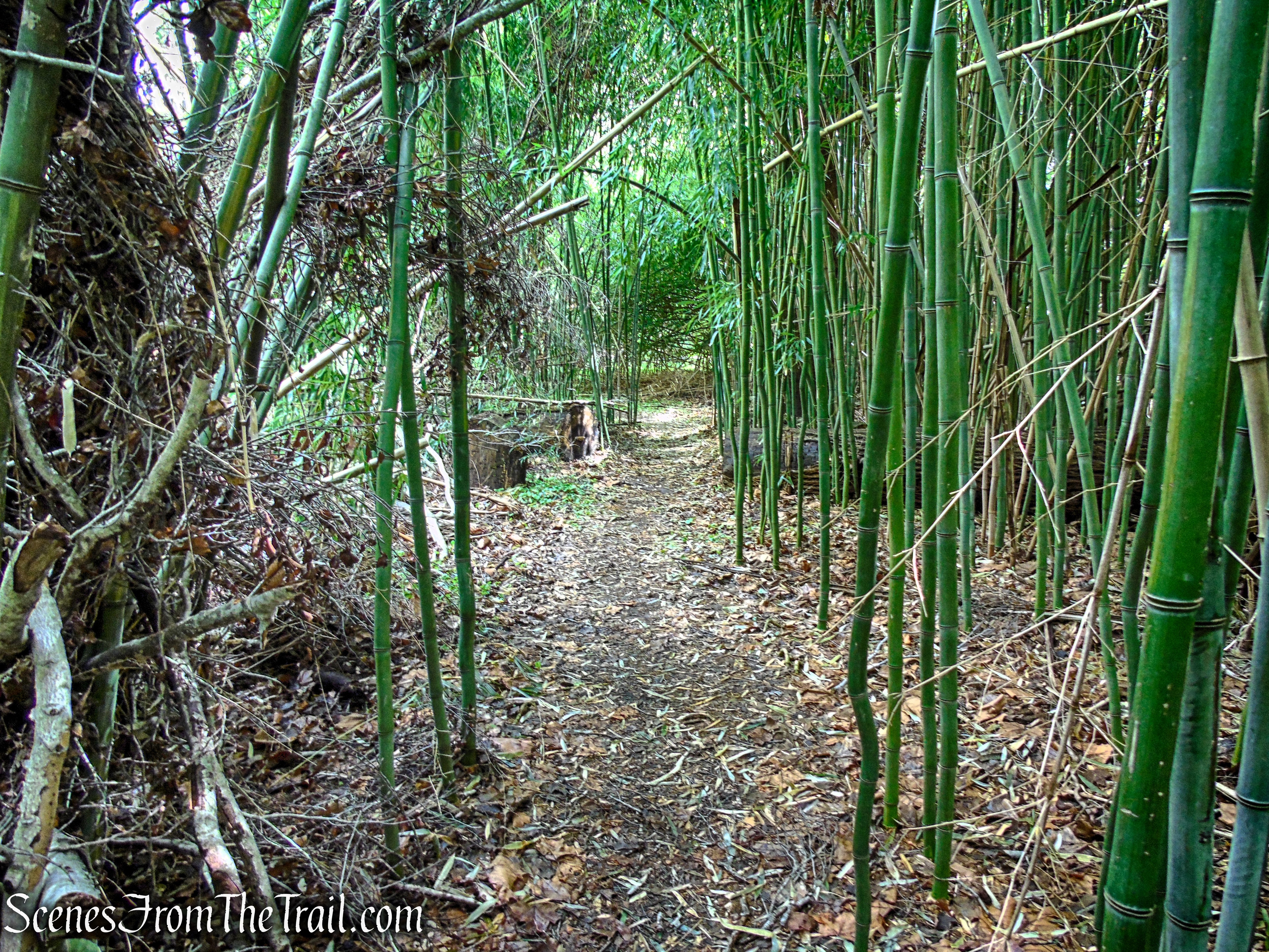 Glenclyffe Loop Trail