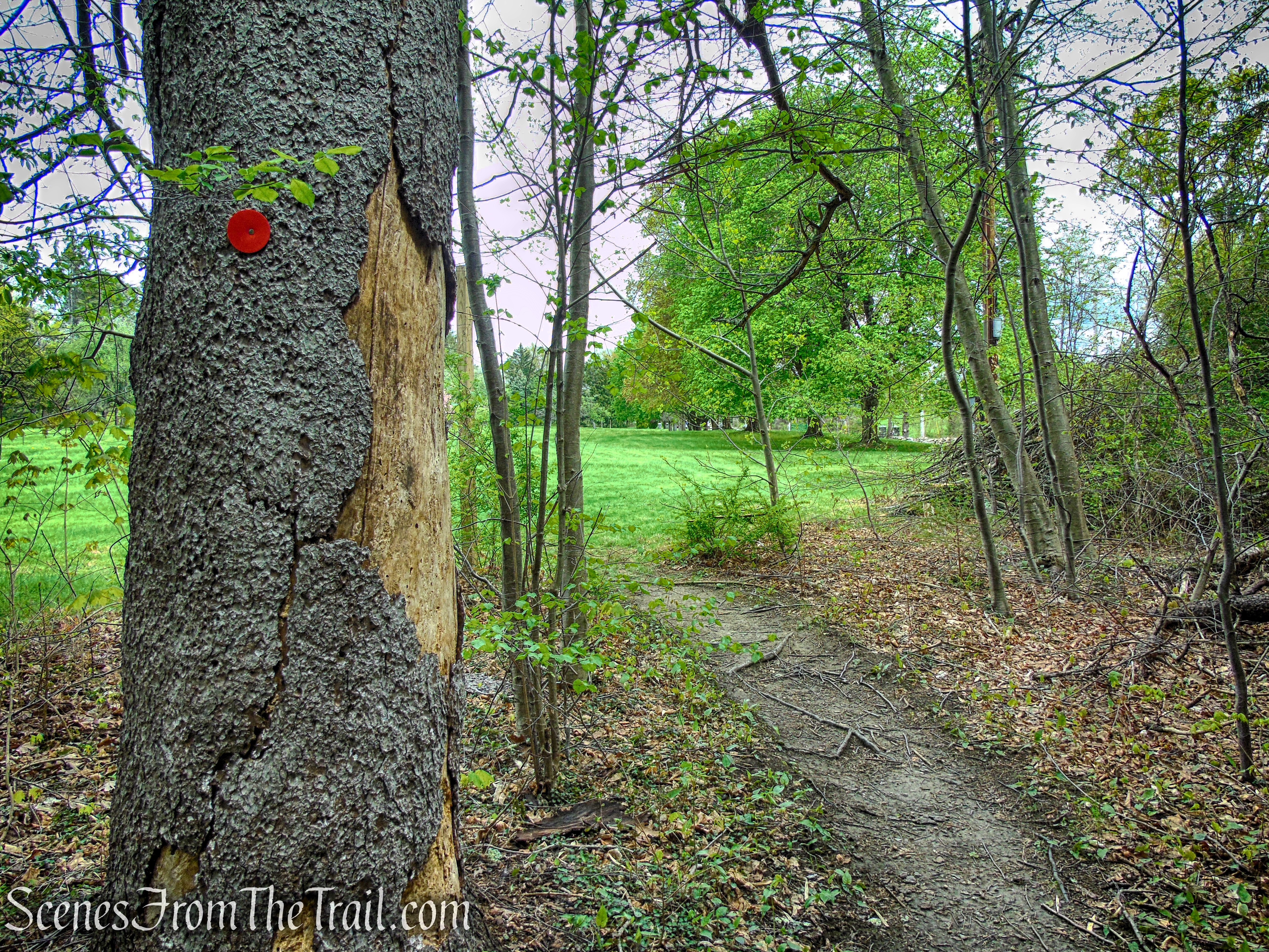 Glenclyffe Loop Trail