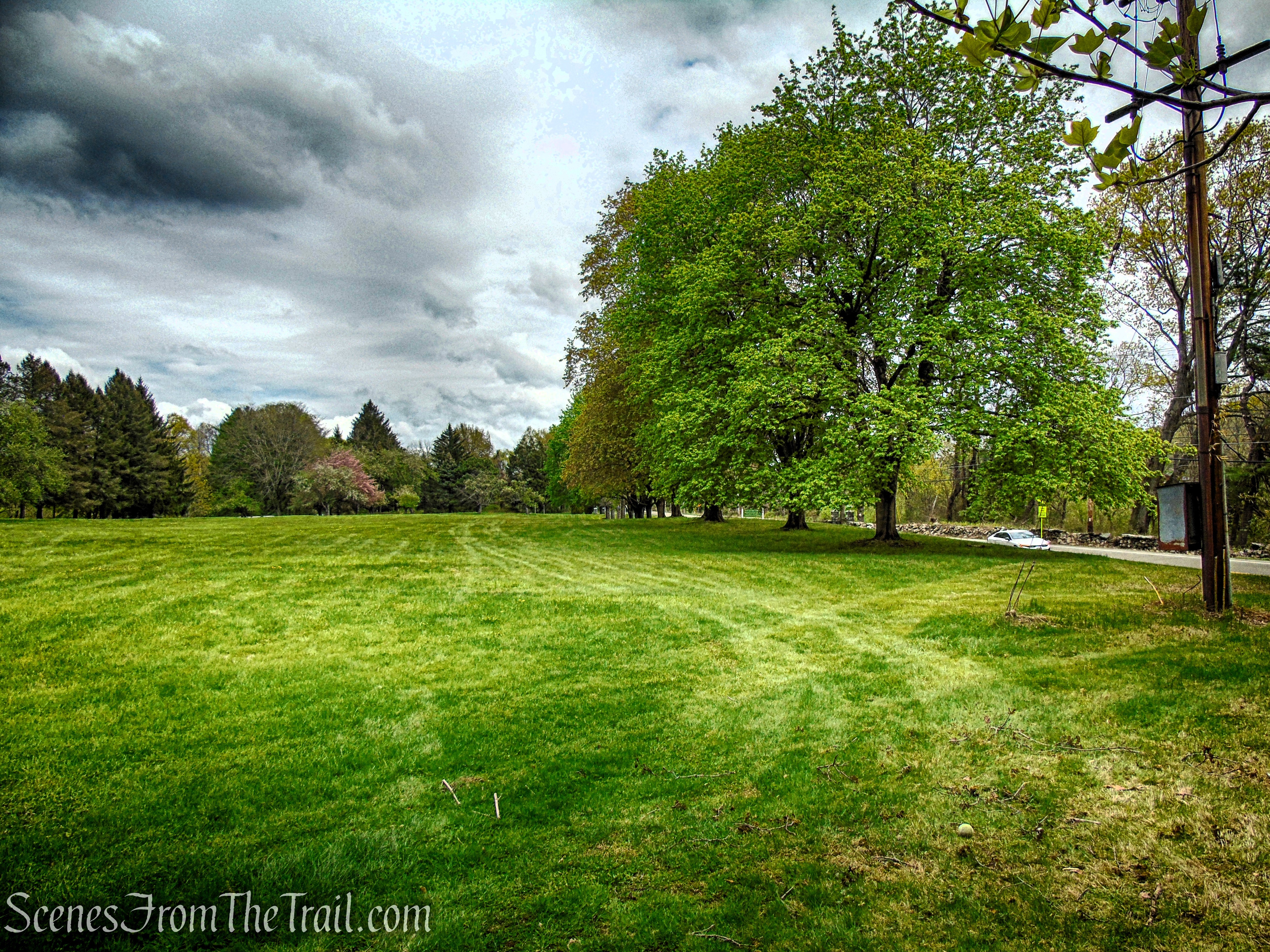 Glenclyffe Loop Trail