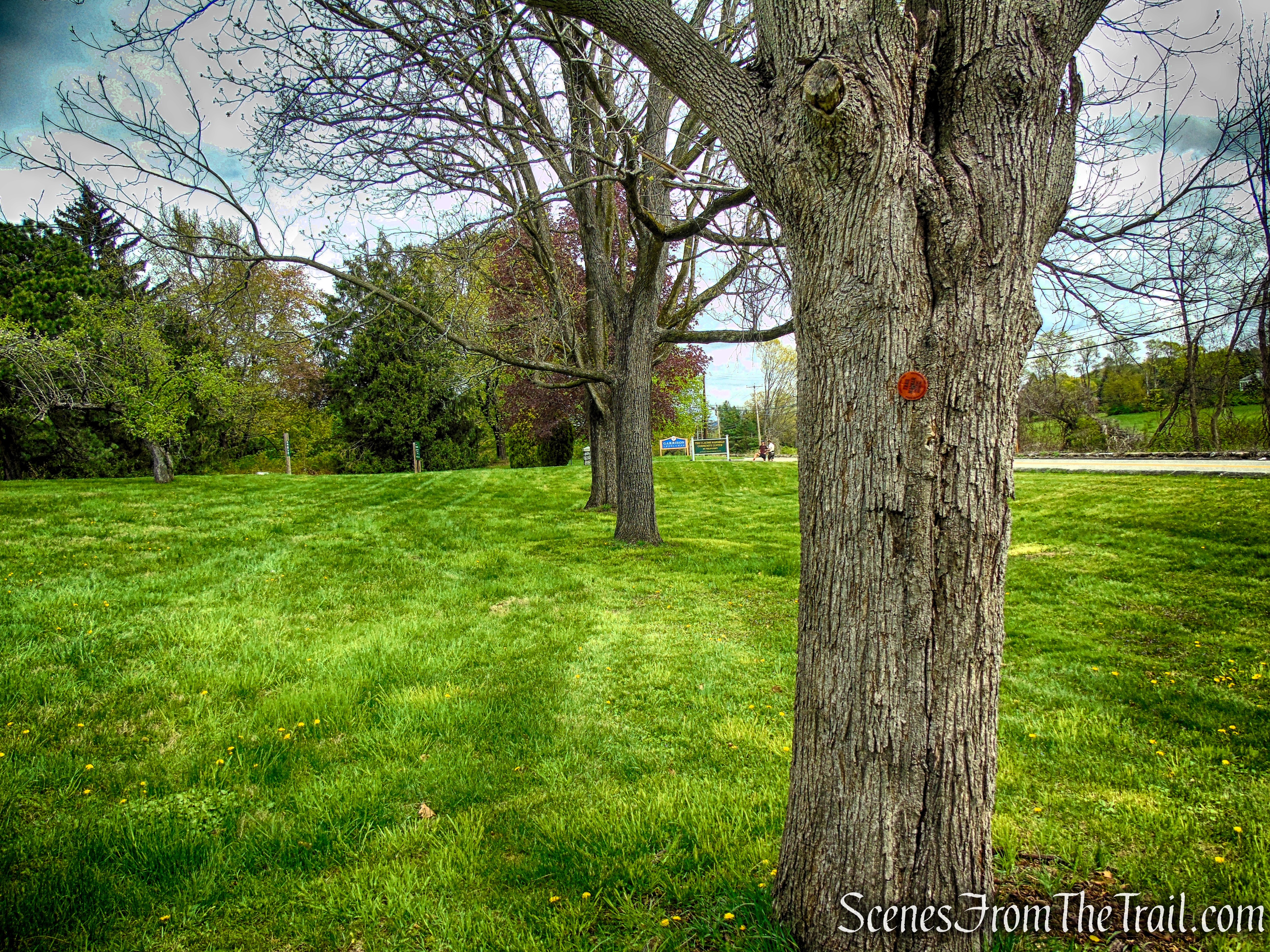 Glenclyffe Loop Trail
