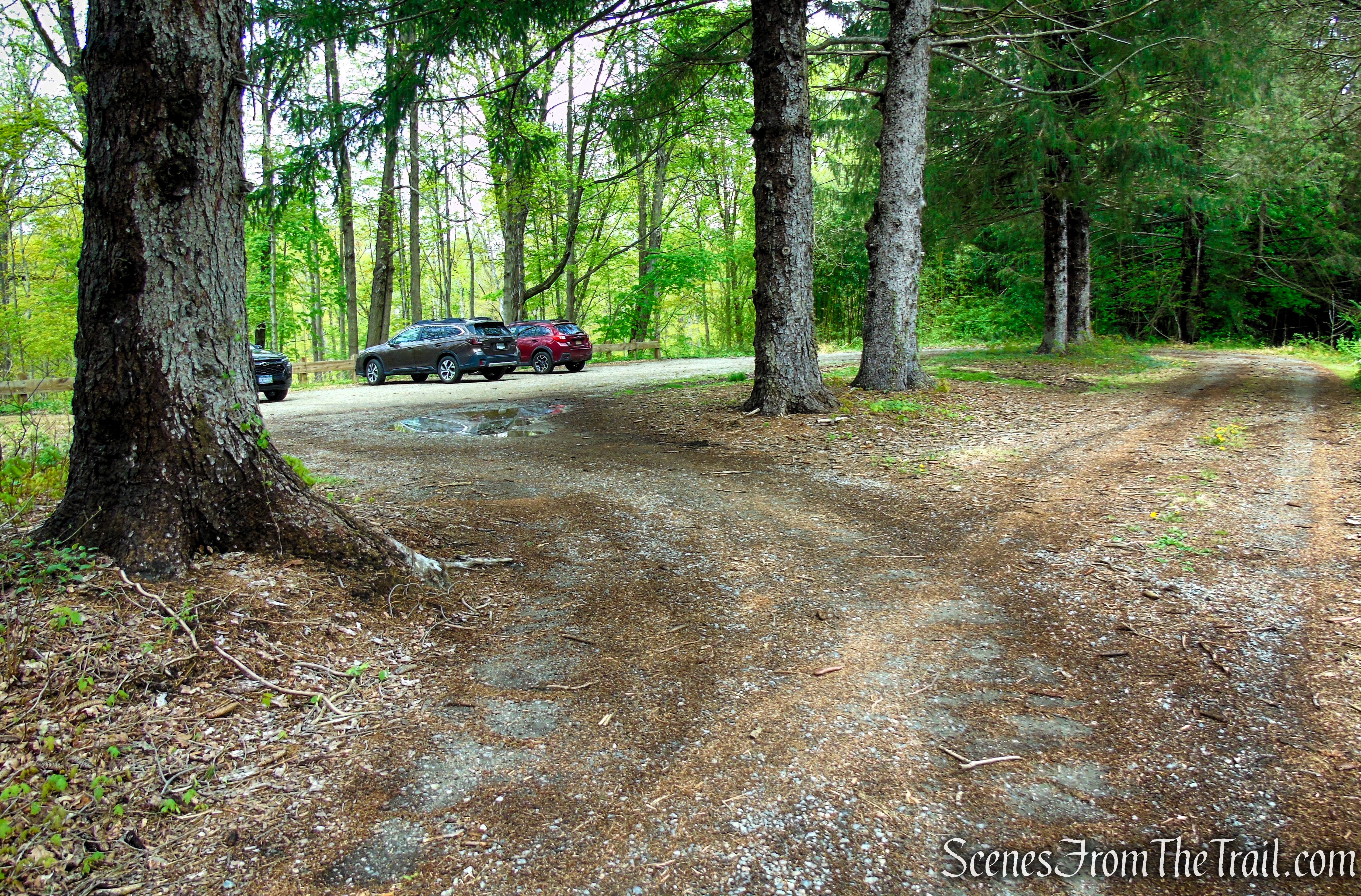 Glenclyffe Trailhead parking