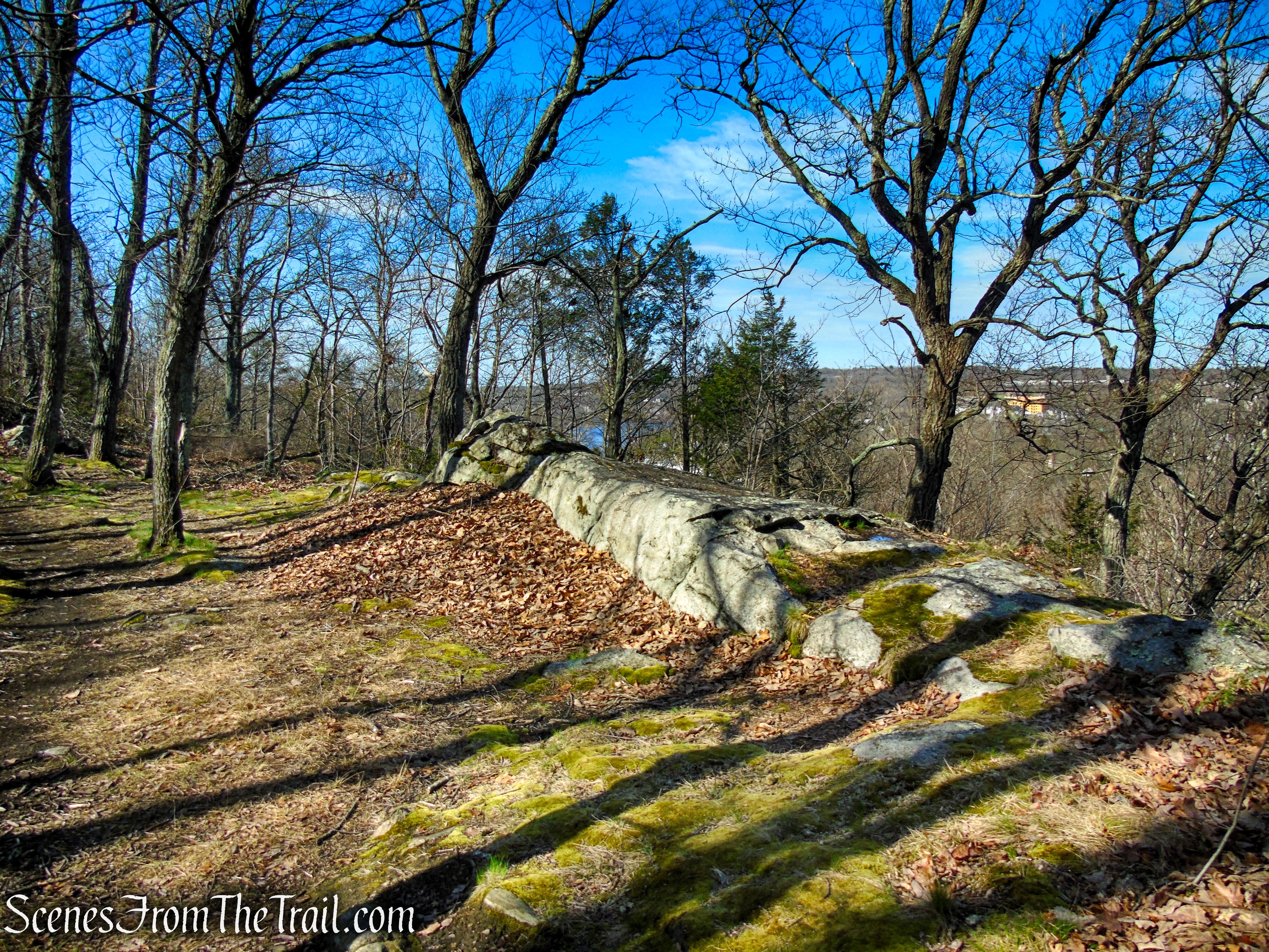 Red Trail - Tucker's Ridge