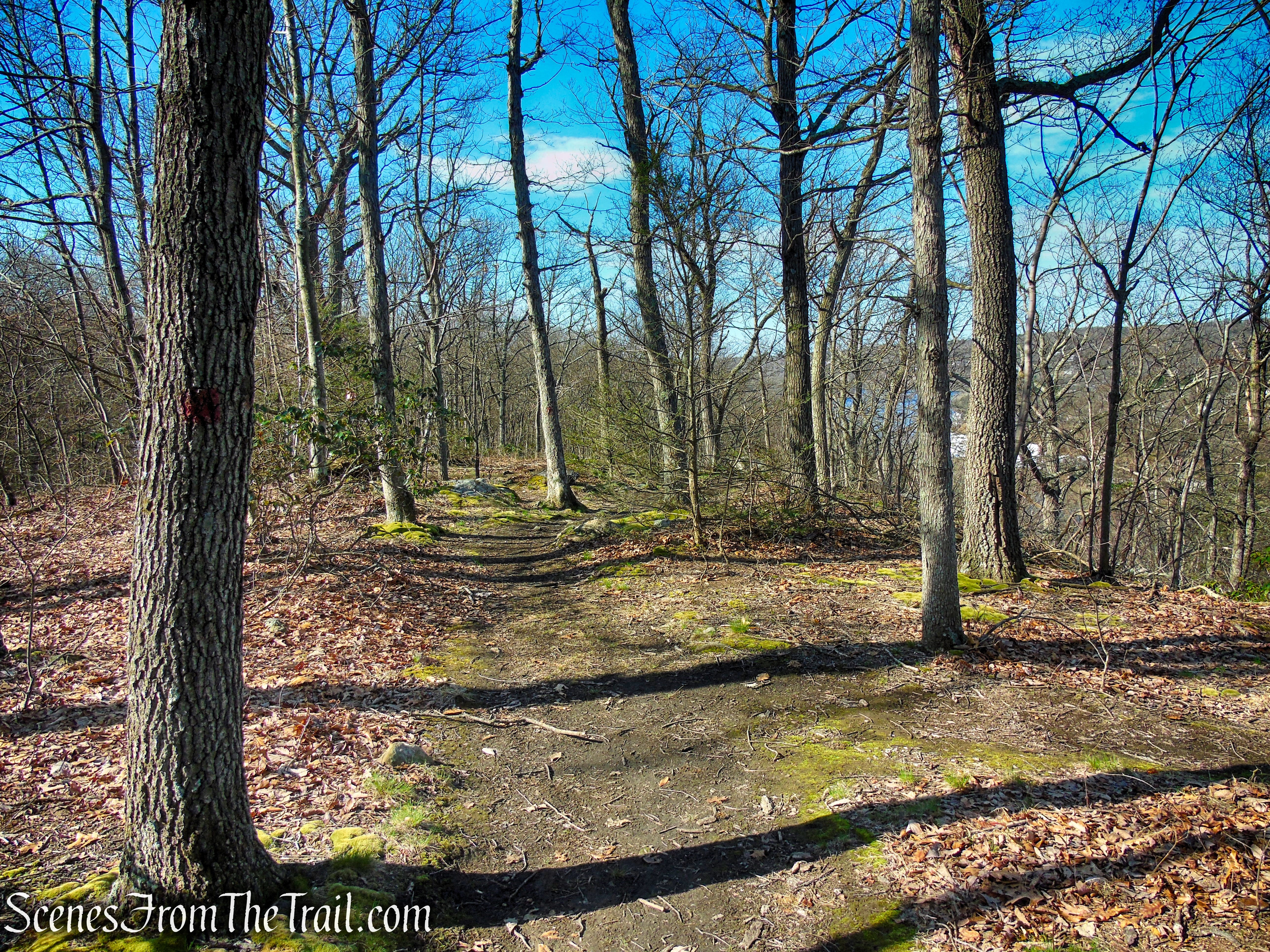 Red Trail - Tucker's Ridge