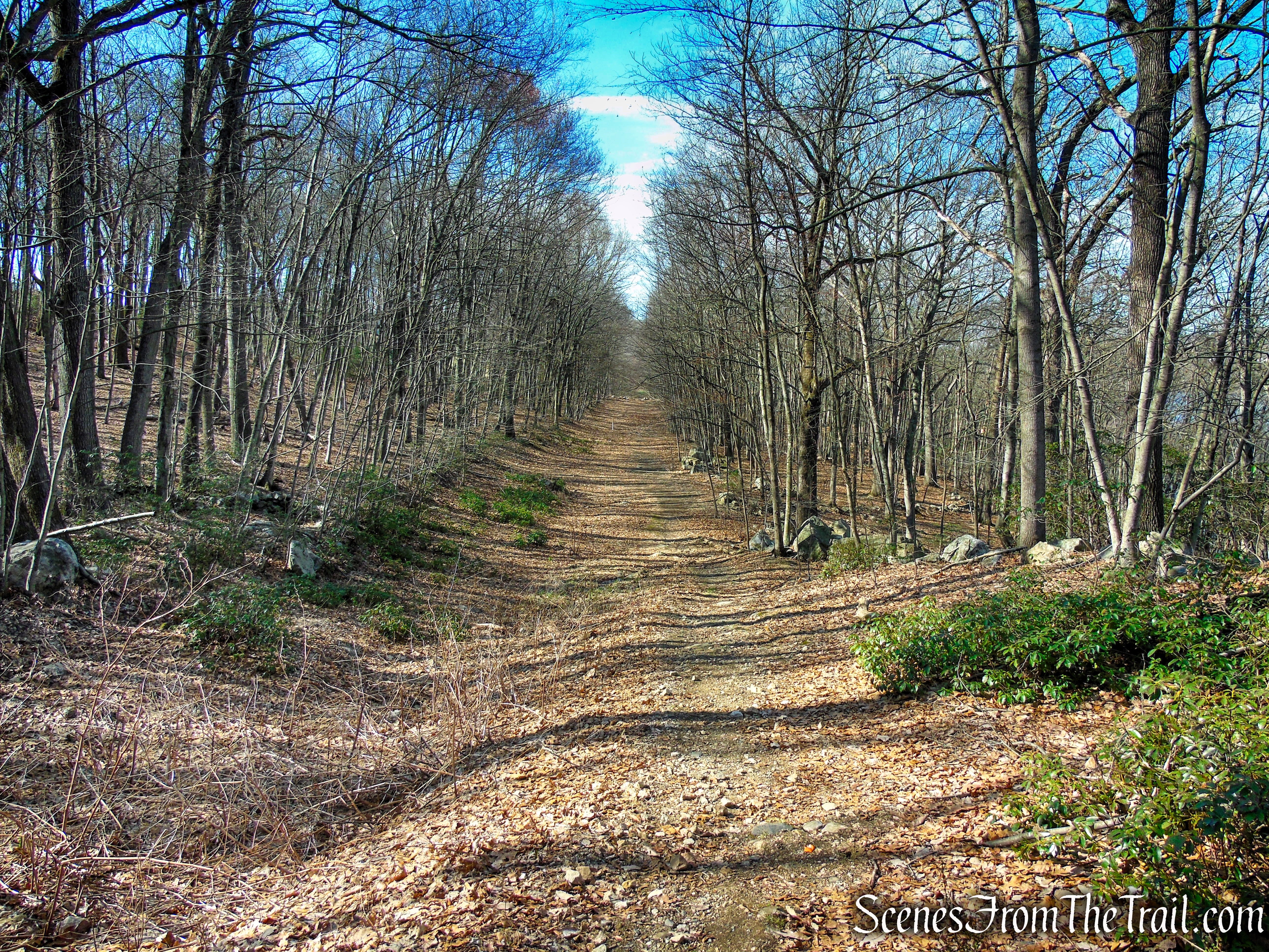 Red Trail - Housatonic Overlook and Tucker’s Ridge