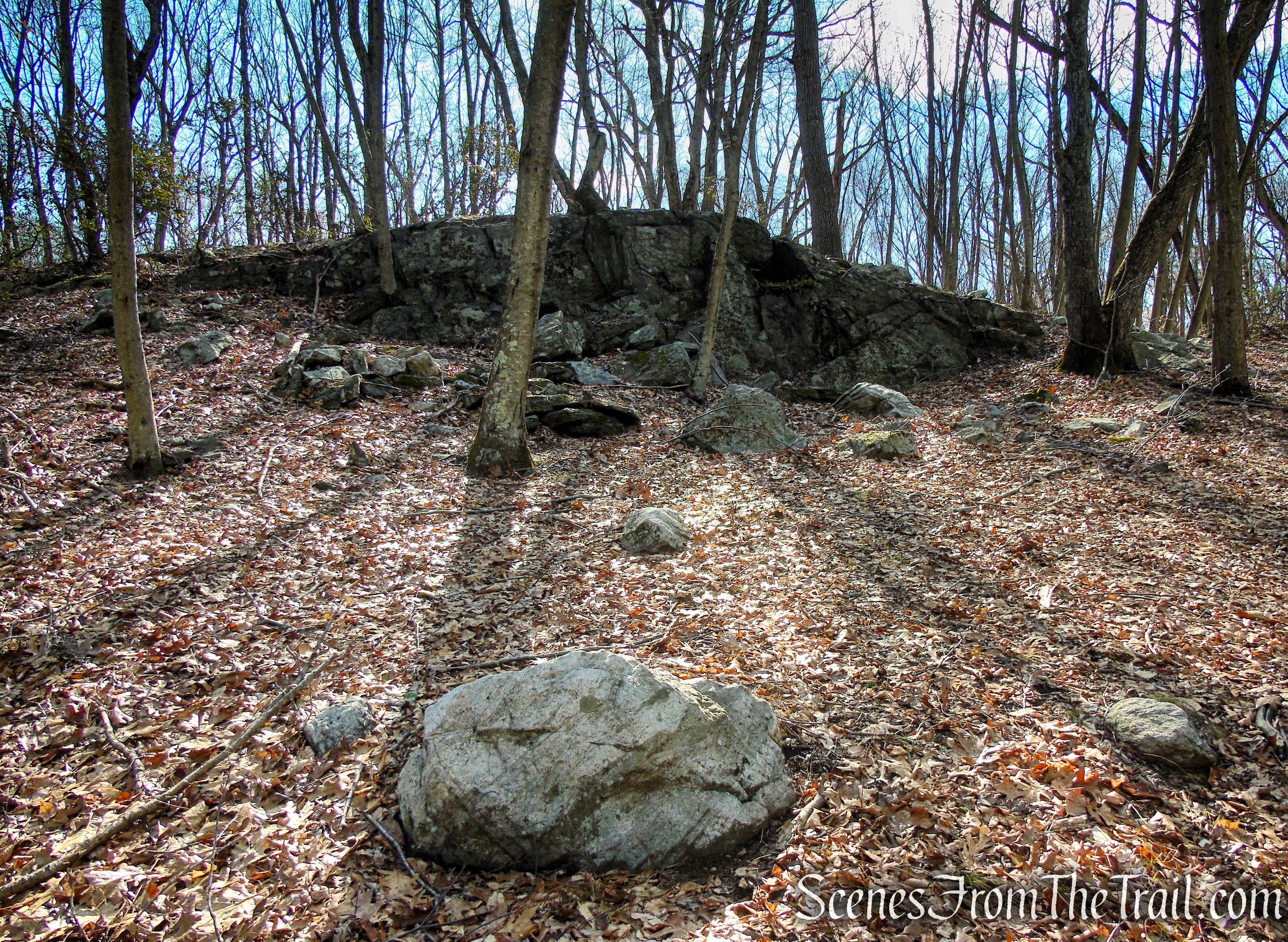 Red Trail - Housatonic Overlook and Tucker’s Ridge