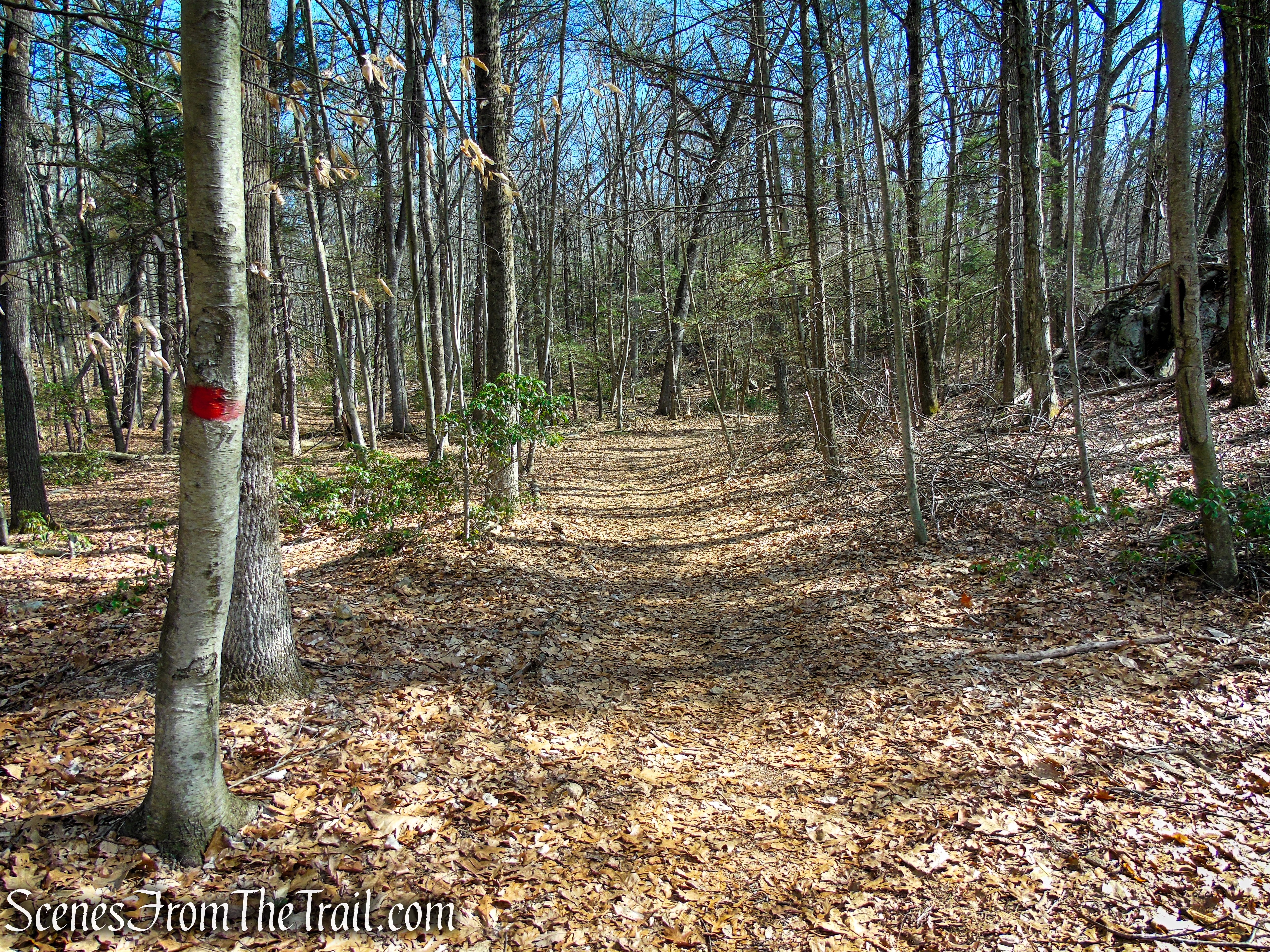 Red Trail - Housatonic Overlook and Tucker’s Ridge