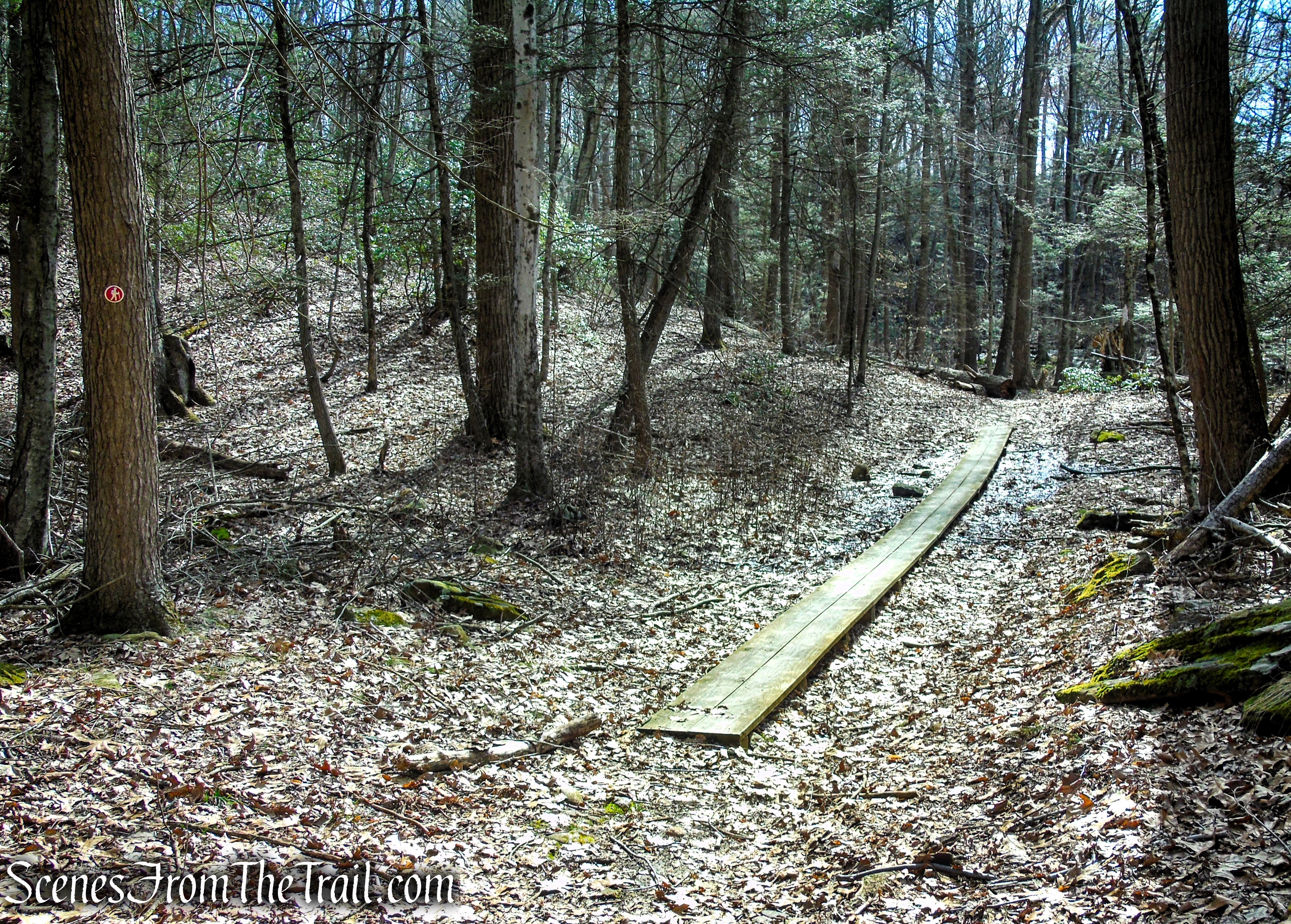Red Trail - Housatonic Overlook and Tucker’s Ridge