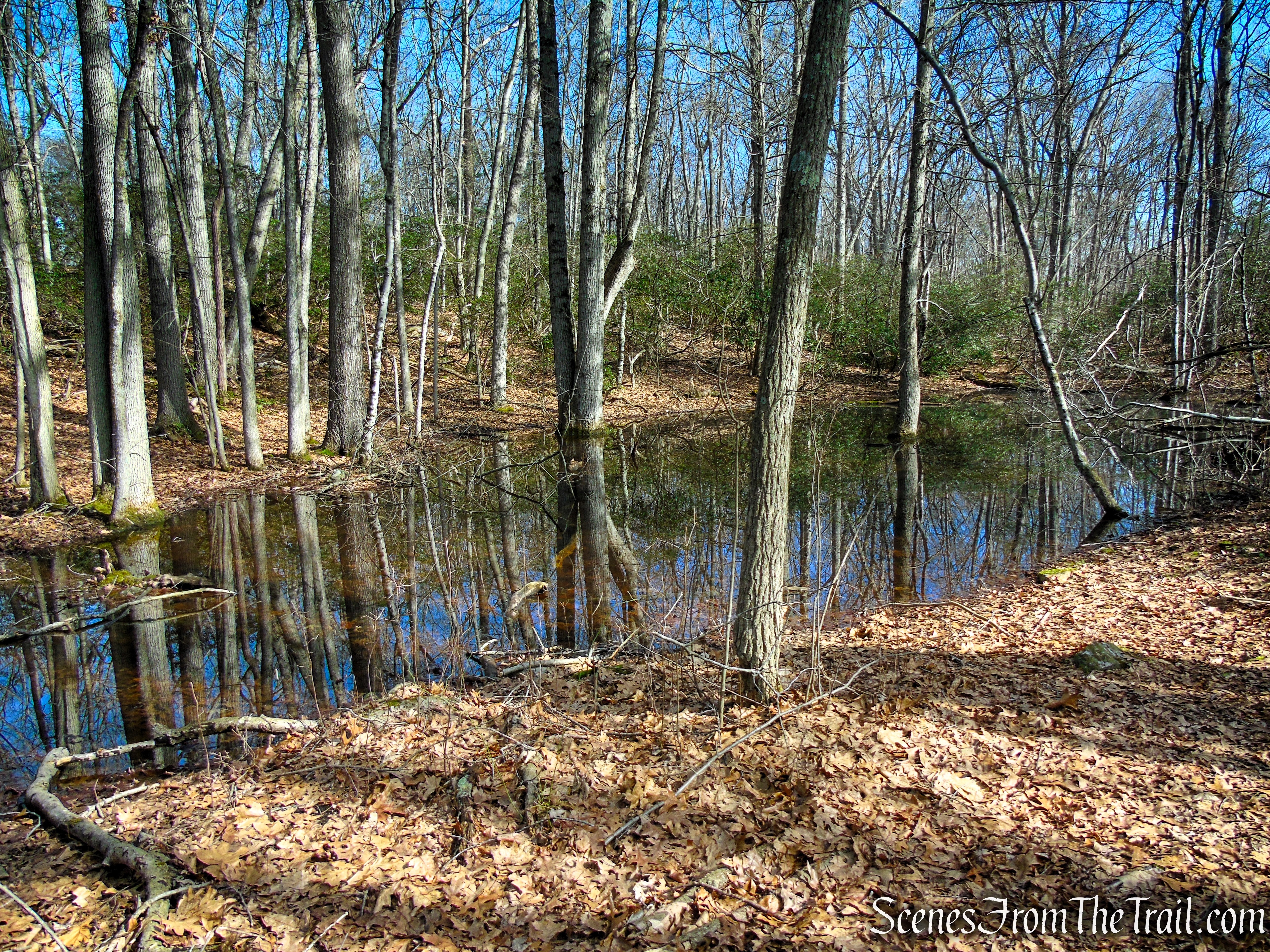 Red Trail - Housatonic Overlook and Tucker’s Ridge