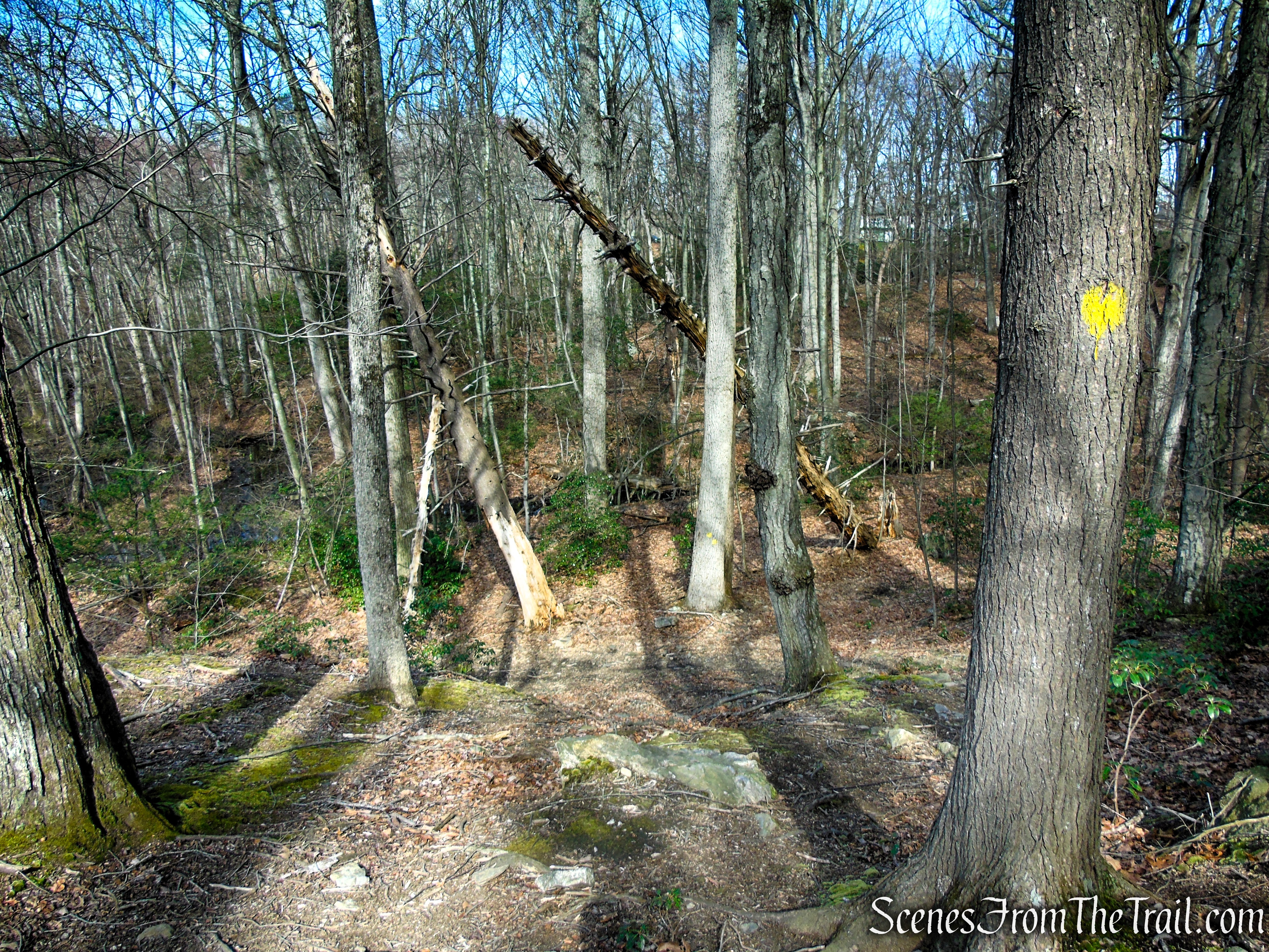 Yellow Trail - Housatonic Overlook and Tucker’s Ridge