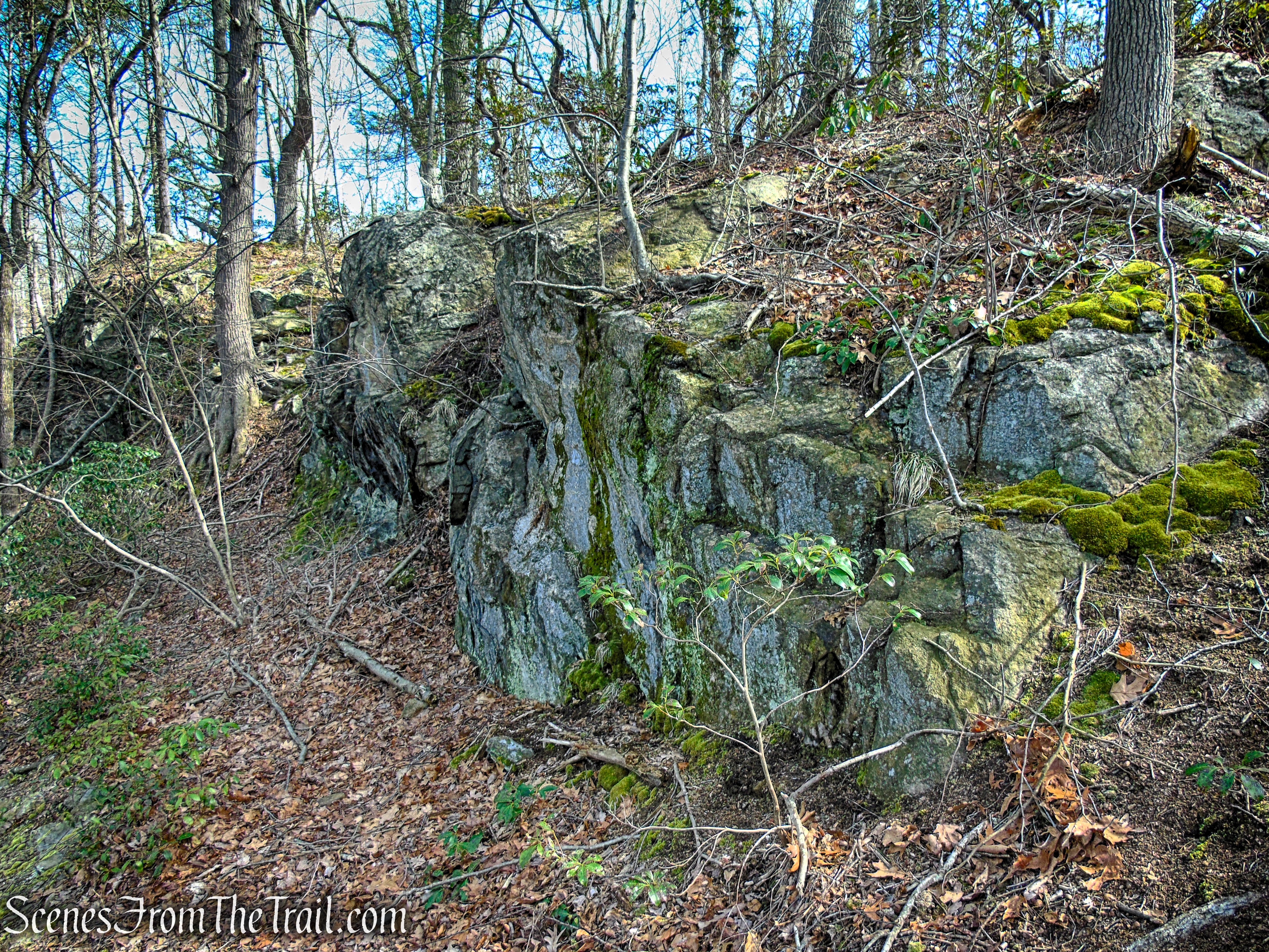 Yellow Trail - Housatonic Overlook and Tucker’s Ridge