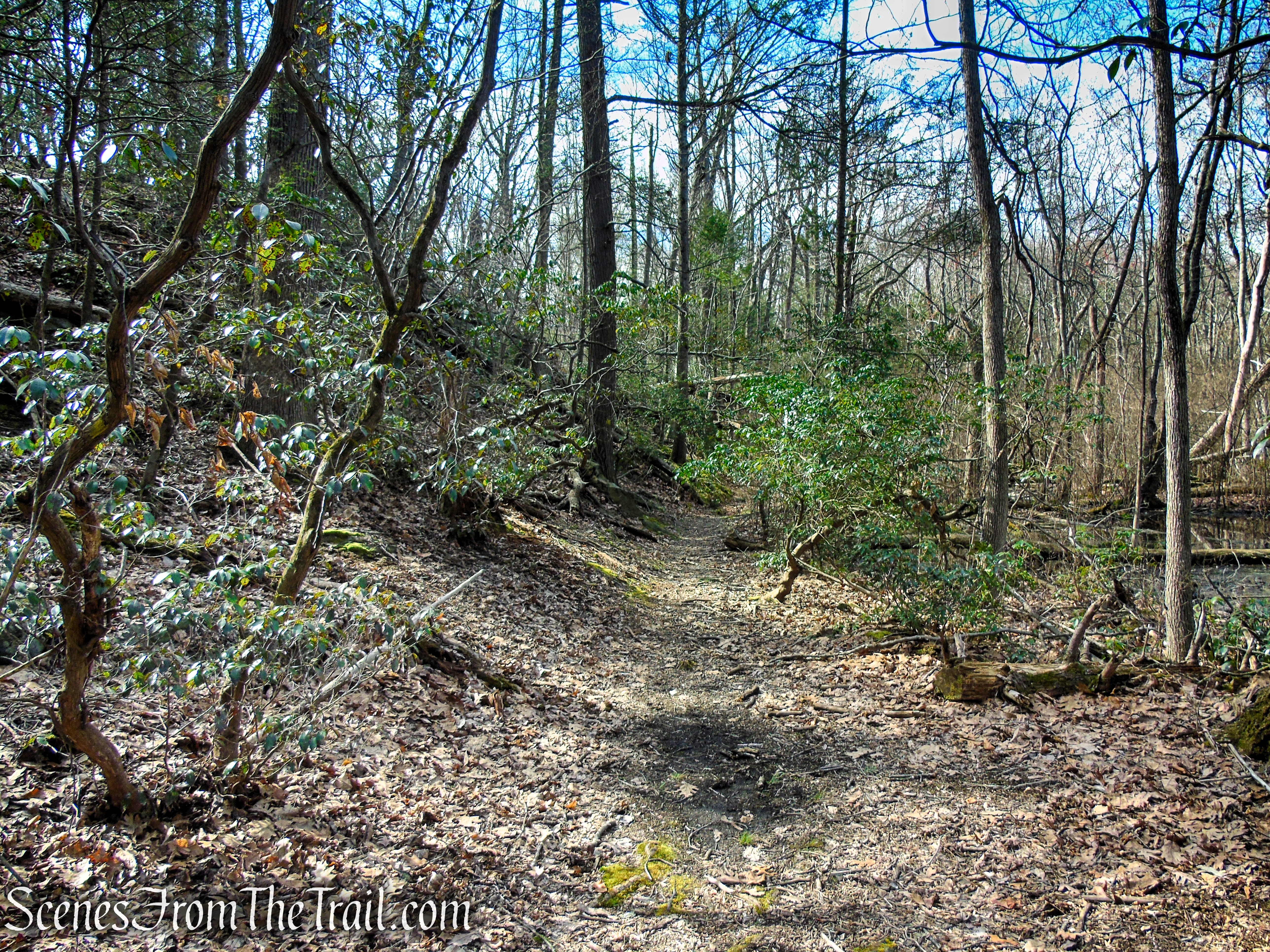 Yellow Trail - Housatonic Overlook and Tucker’s Ridge
