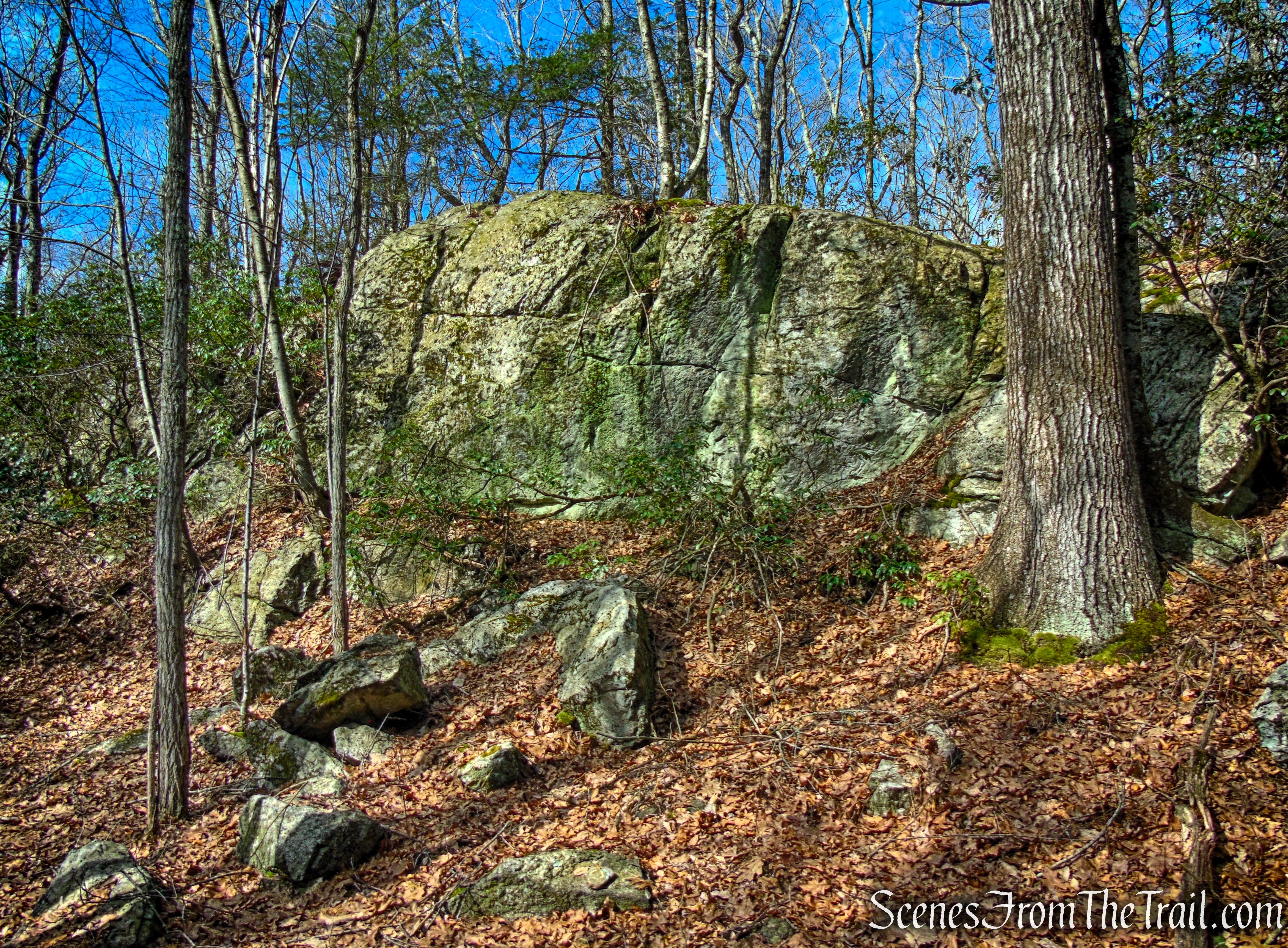 Blue Trail - Housatonic Overlook and Tucker’s Ridge