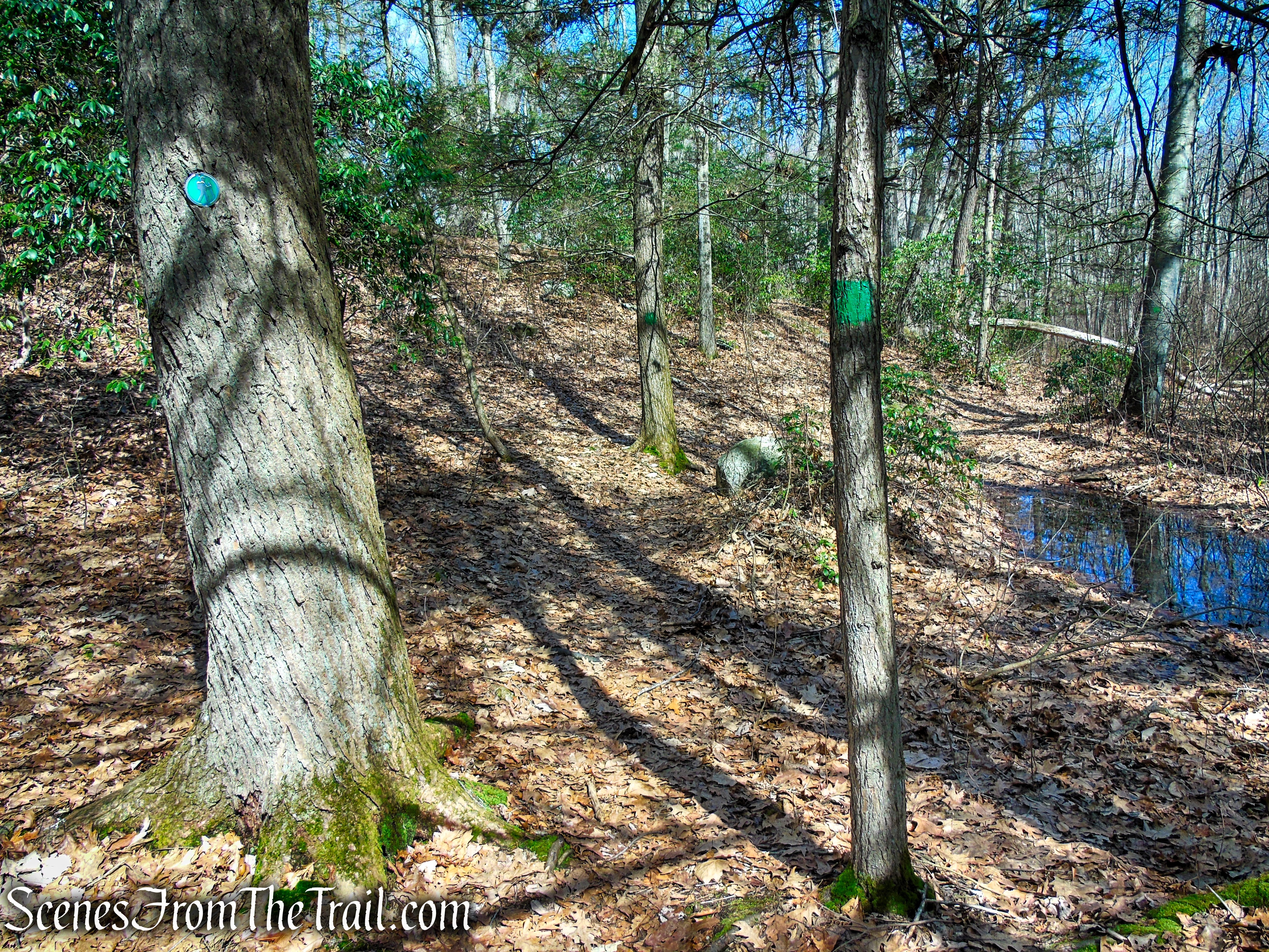 Green Trail - Housatonic Overlook and Tucker’s Ridge