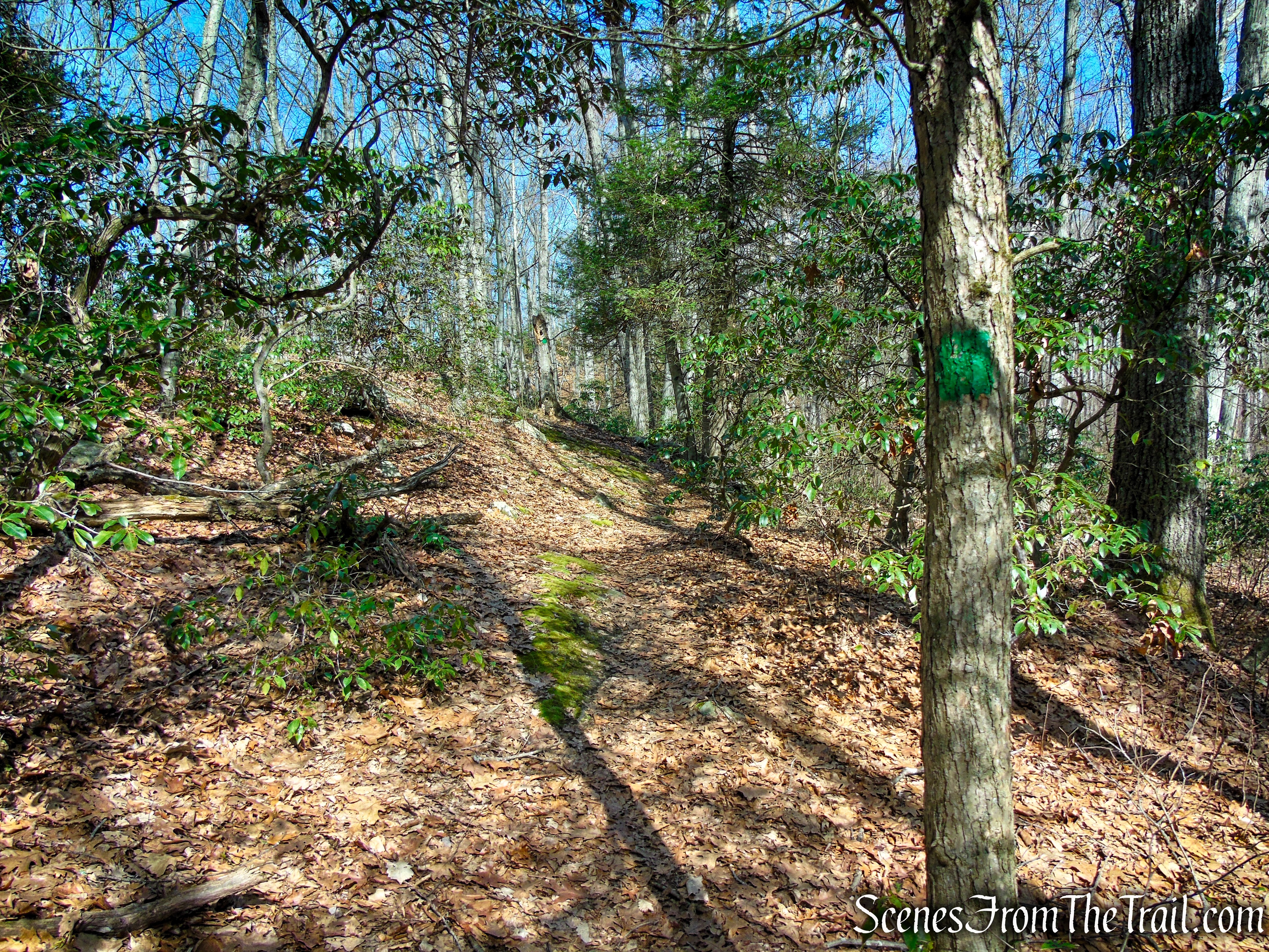 Green Trail - Housatonic Overlook and Tucker’s Ridge