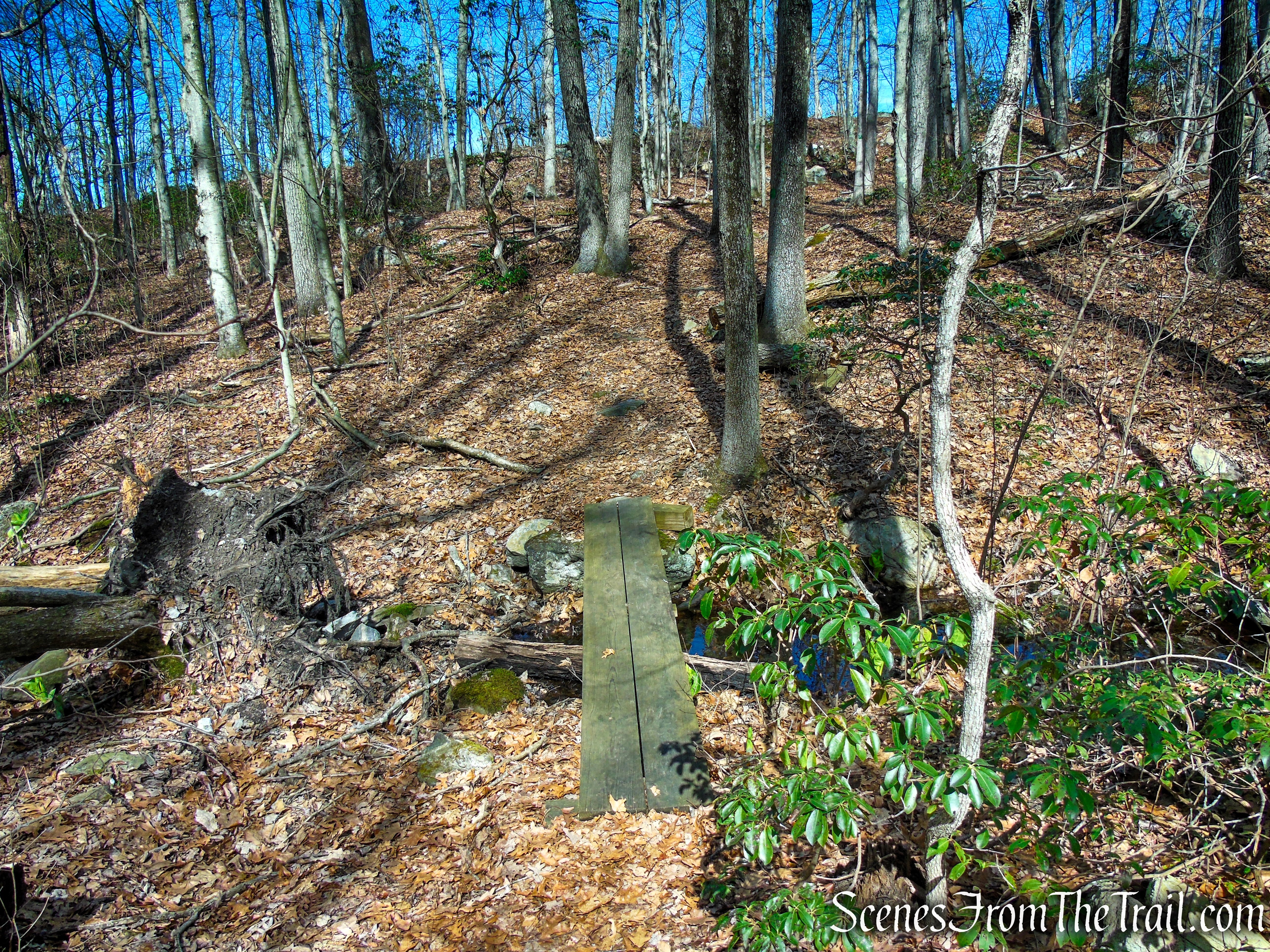 Green Trail - Housatonic Overlook and Tucker’s Ridge