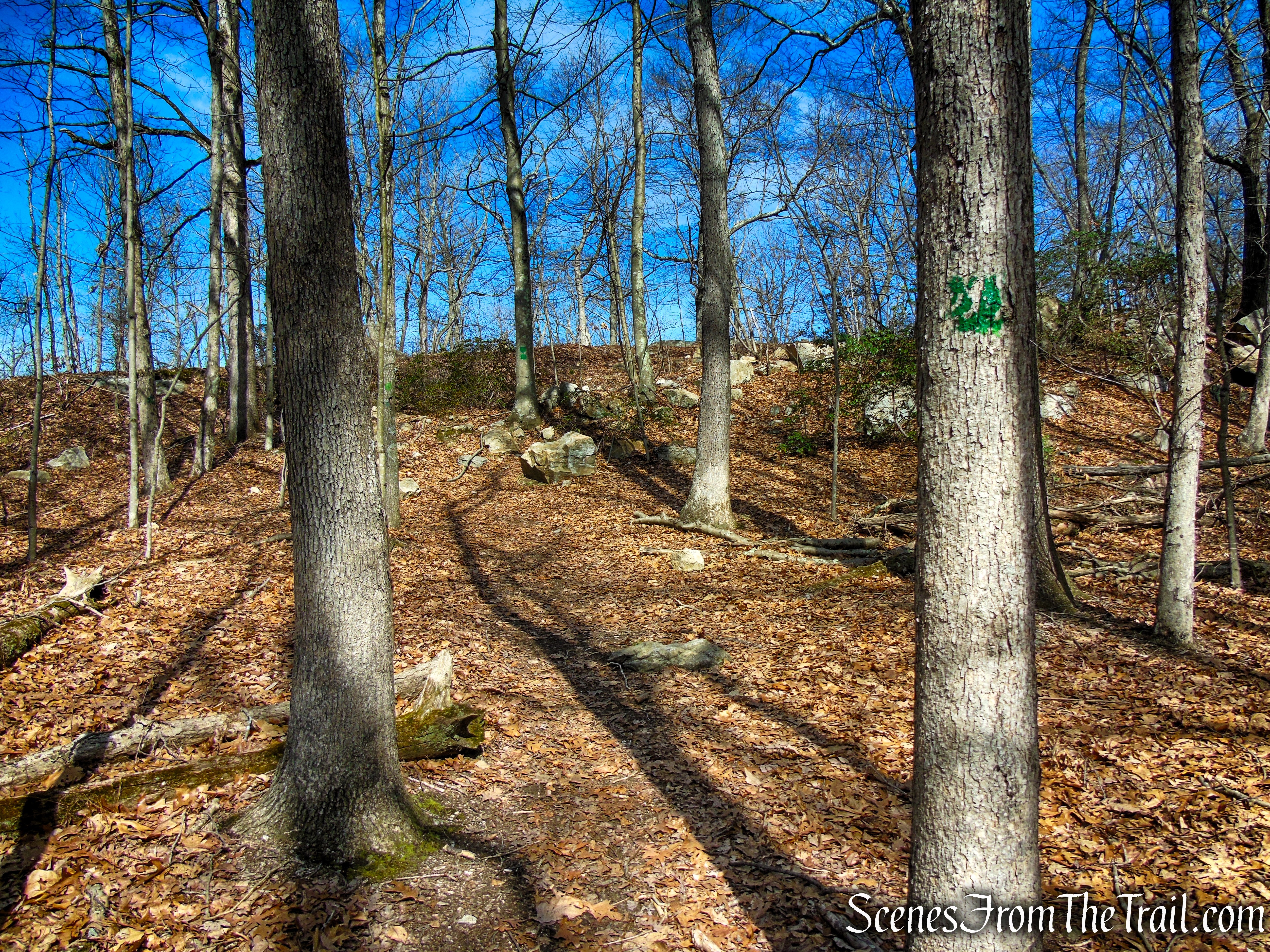 Green Trail - Housatonic Overlook and Tucker’s Ridge