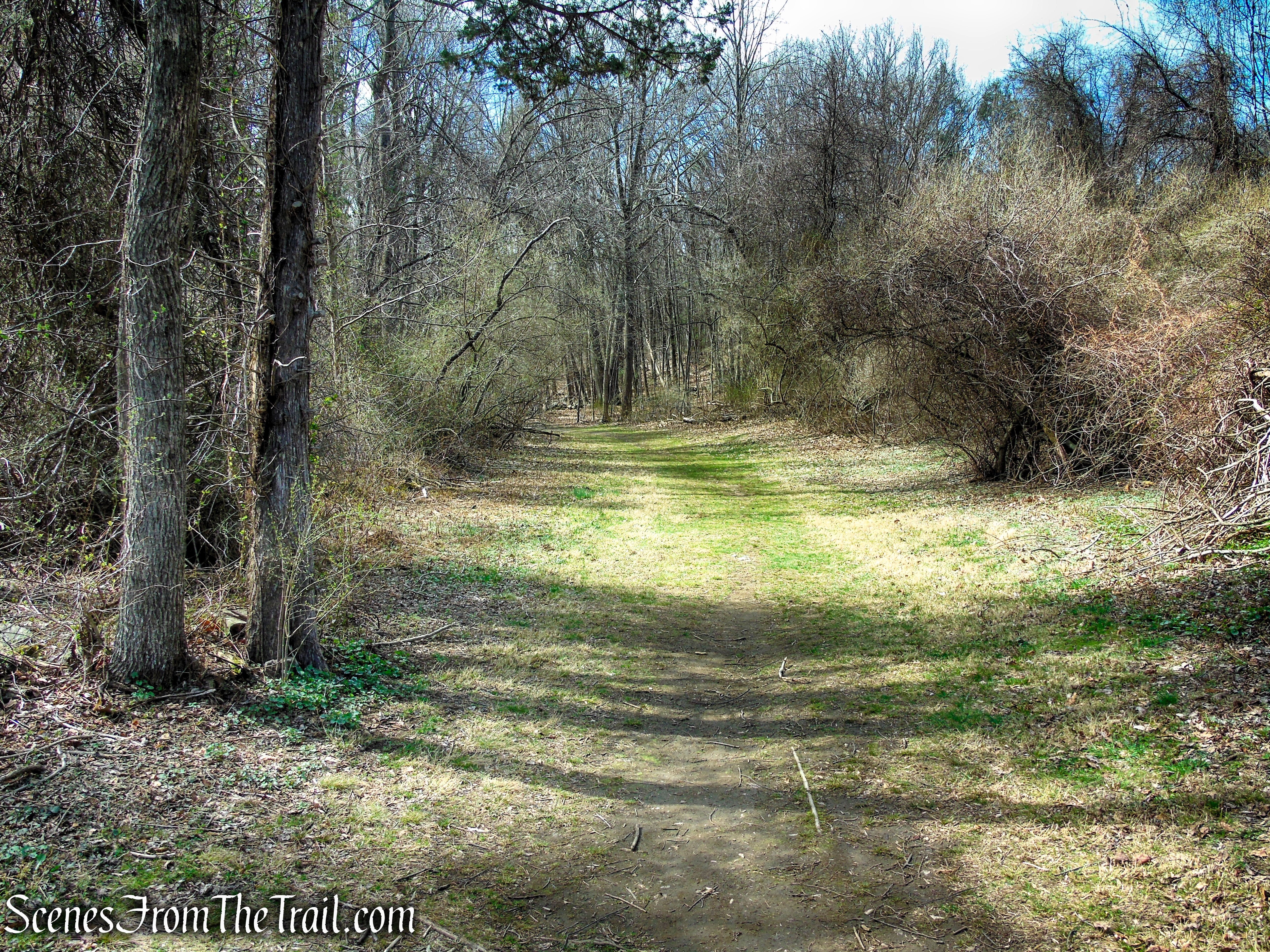 Blue Trail - Turkey Hill Preserve