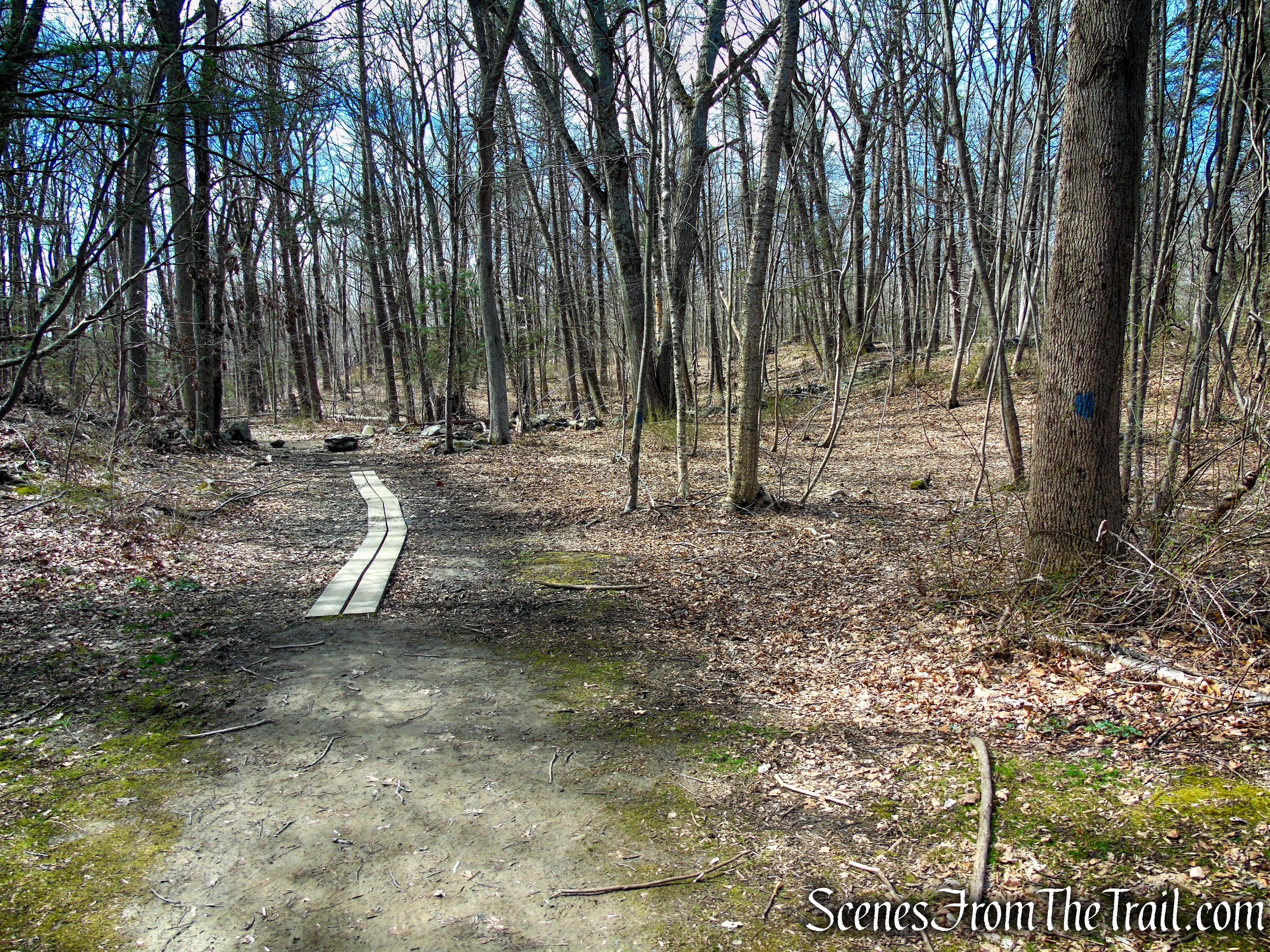 Blue Trail - Turkey Hill Preserve