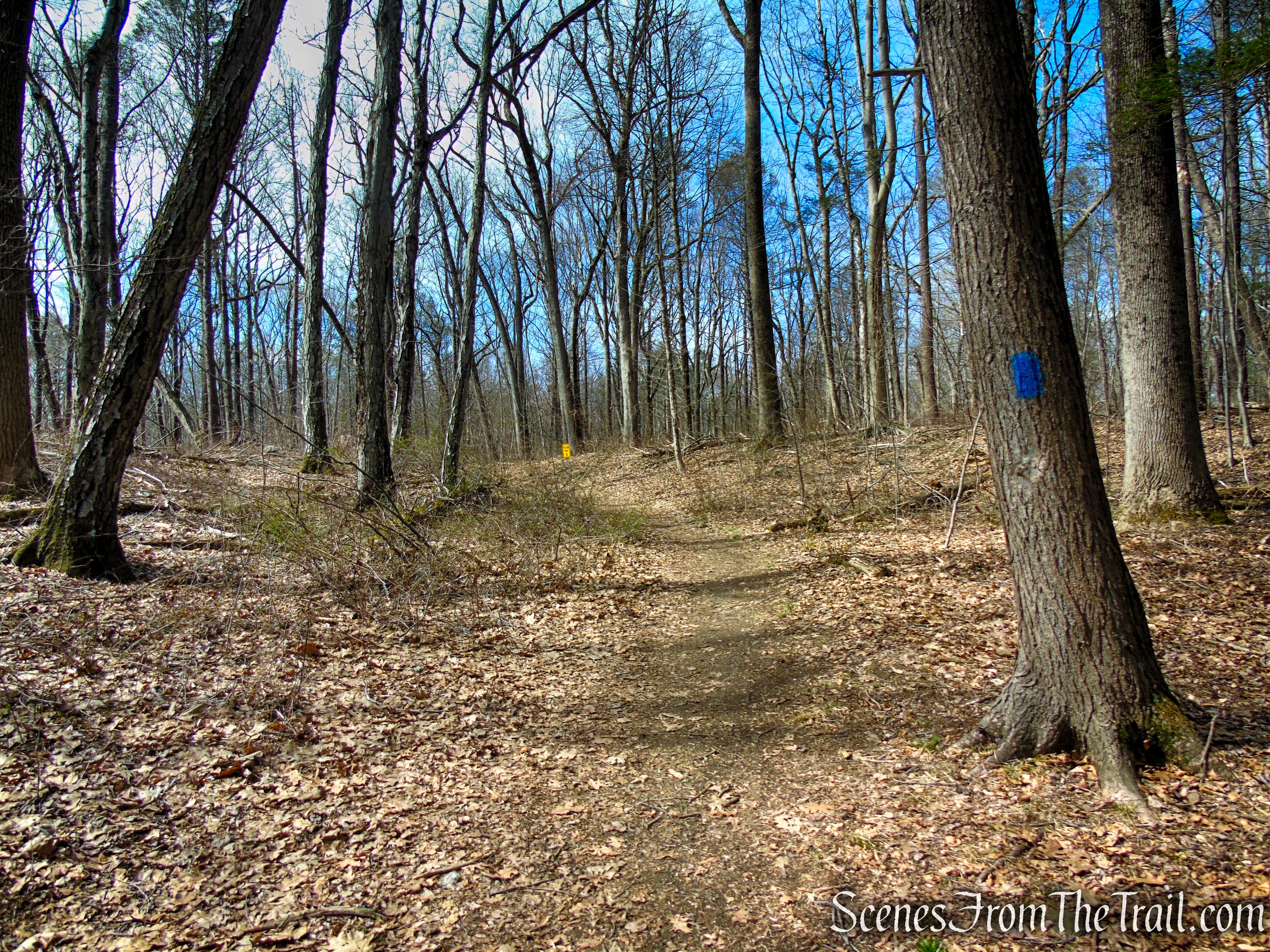 Blue Trail - Turkey Hill Preserve