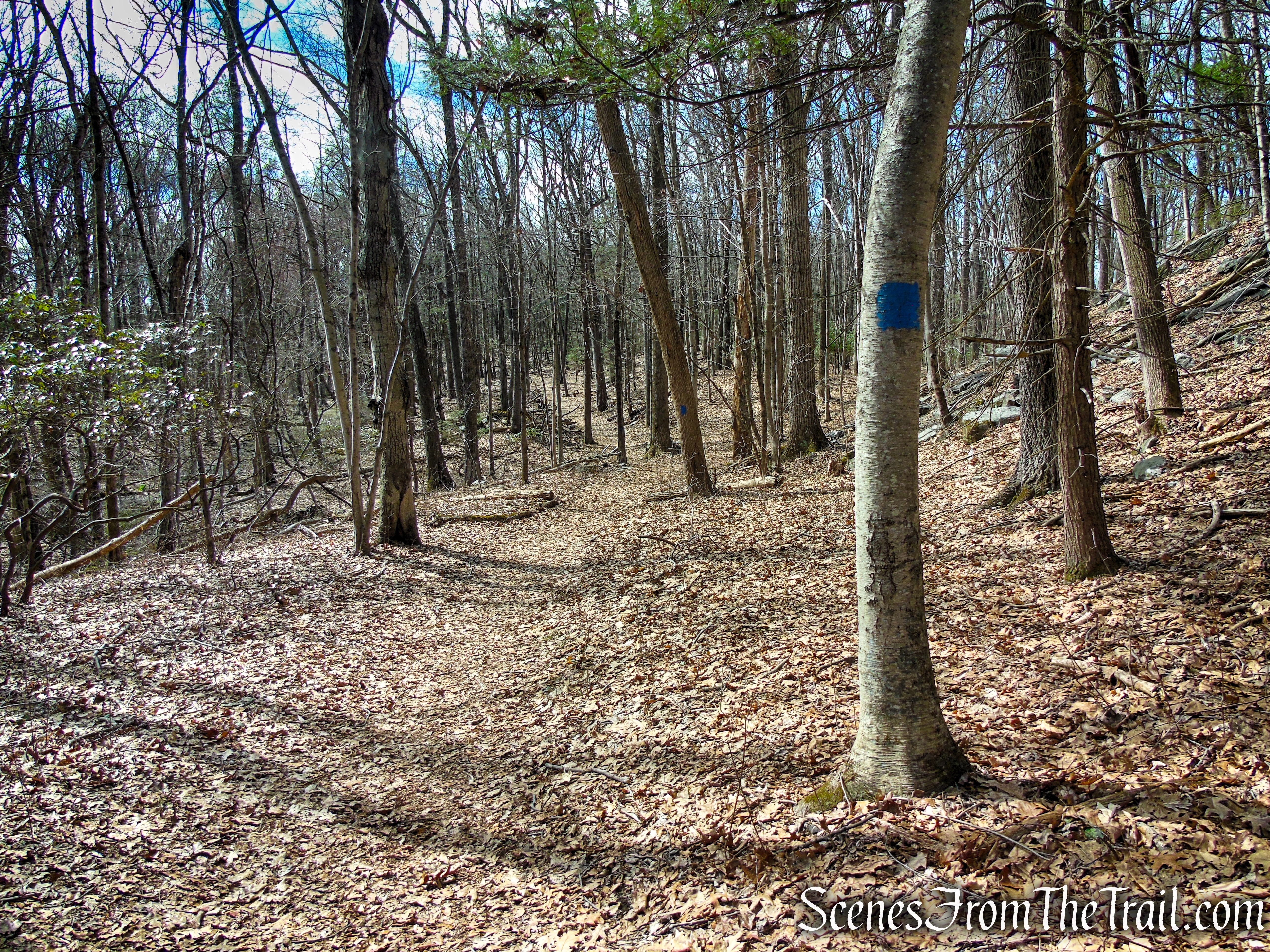 Blue Trail - Turkey Hill Preserve