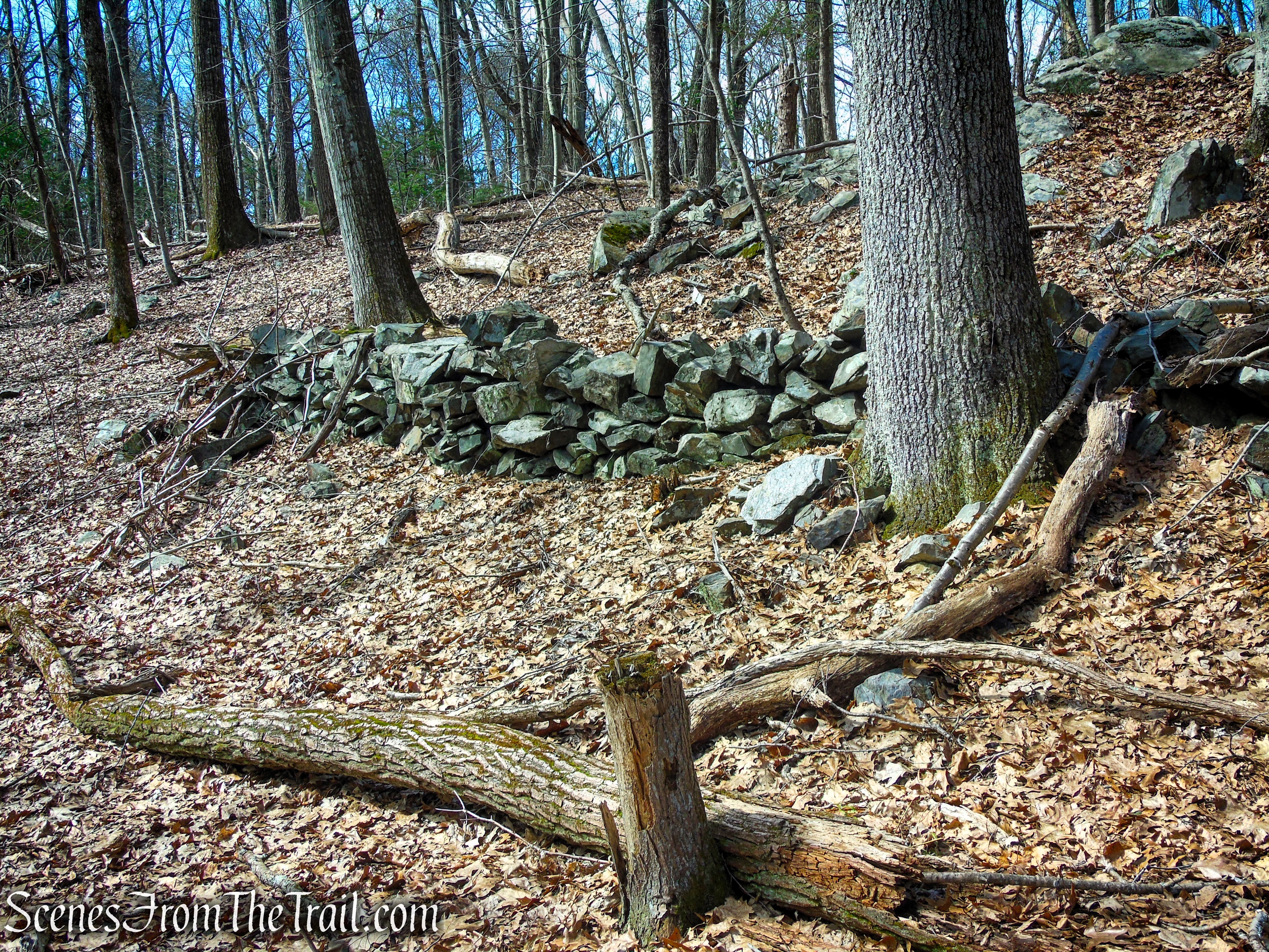 Blue Trail - Turkey Hill Preserve
