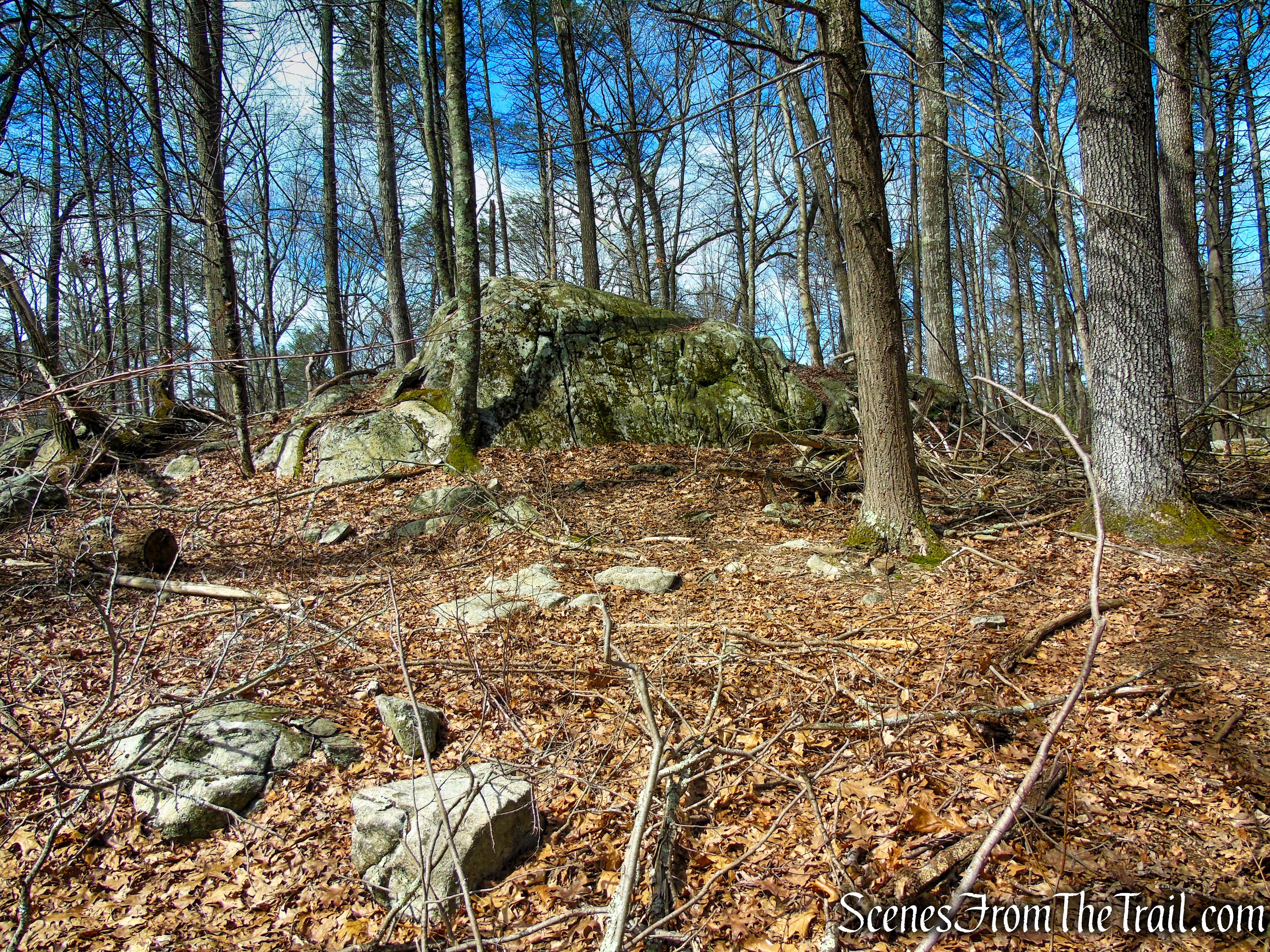 Blue Trail - Turkey Hill Preserve
