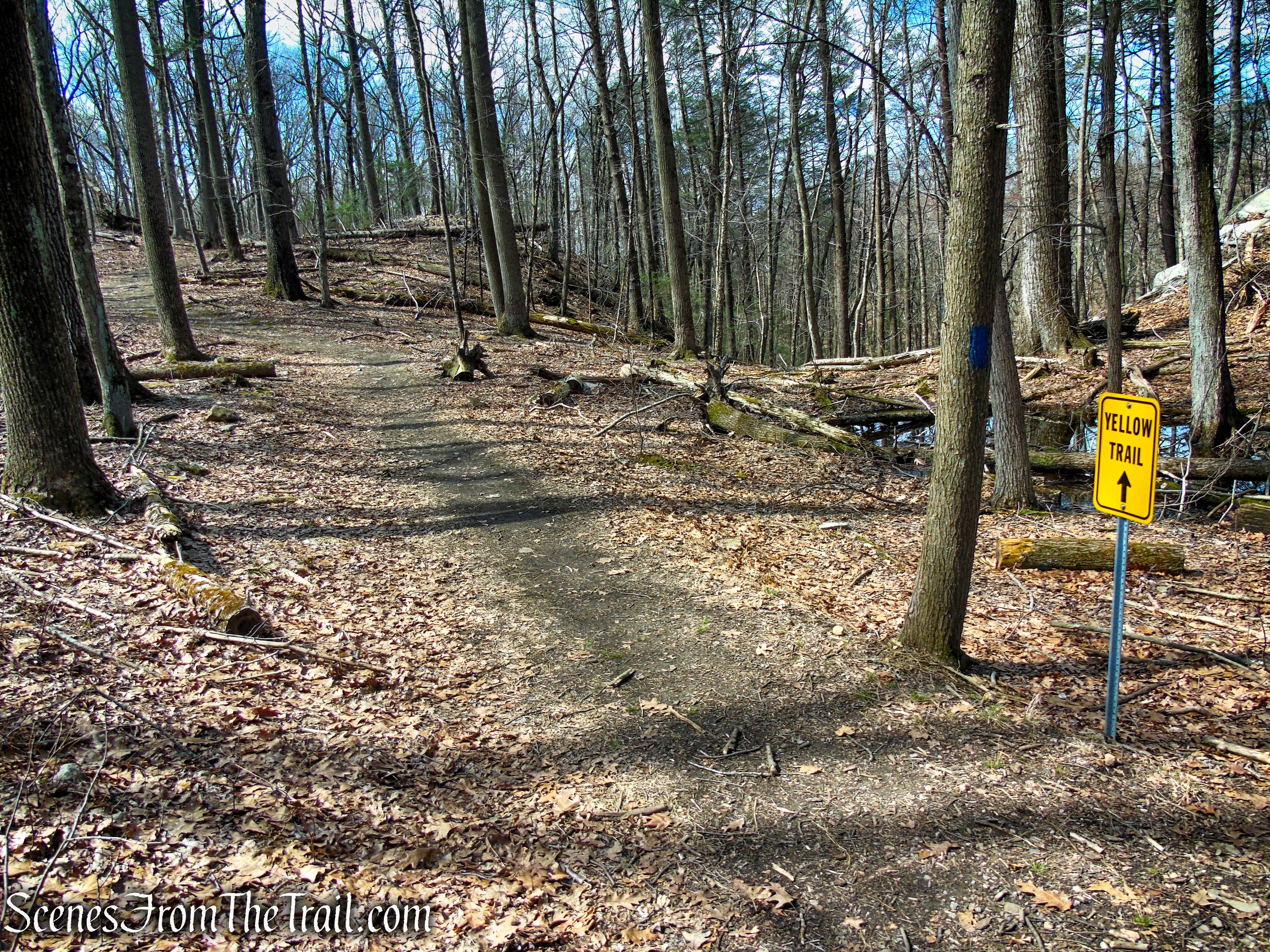 Blue Trail - Turkey Hill Preserve